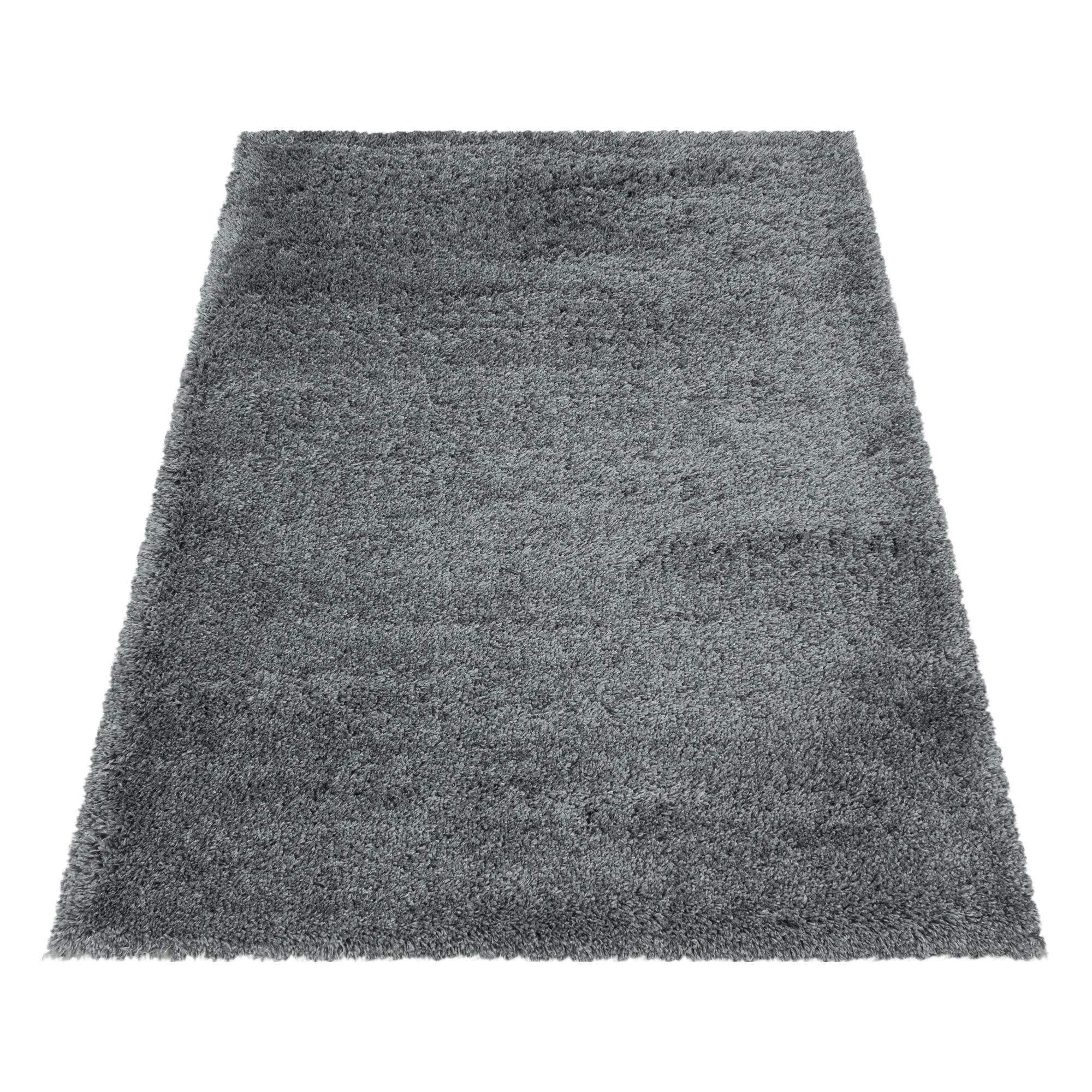 Carpetsale24 Tapis à Poils Longs, Couleur Gris Clair, Unicolor - Monochrome, 107606, Tapis Rectangle, Tapis Salon-Salle à Manger ou Chambre, 120 x 170 cm