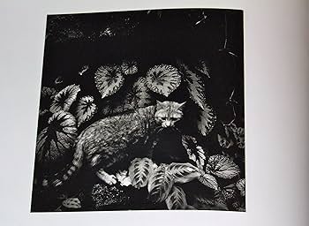 アート・デザイン・音楽 Cecil Beaton Photographs 1920-1970 Cecil Beaton: Photographs 1920-1970: Philippe Garner
