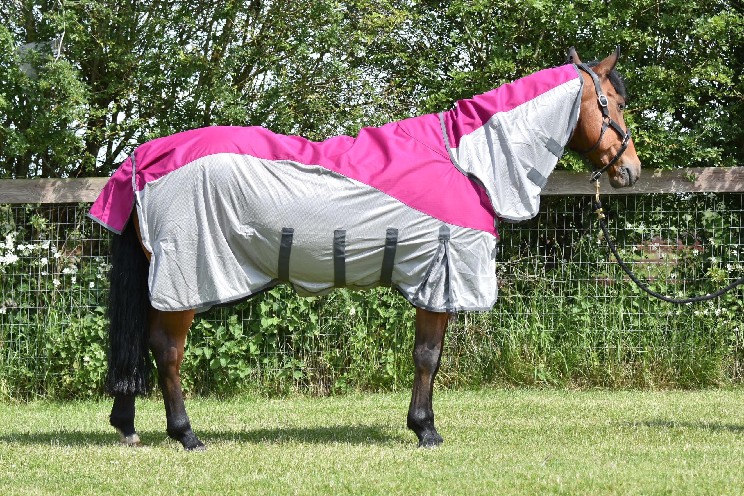 Horse Fly Rug With Waterproof Turnout Top 600 D Lightweight Horse Fly Rug Mesh Raspberry/Grey (6'6'', RASPBERRY/GREY)