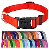 Country Brook Petz - Everyday Nylon Dog Collar for Large, Medium, and Small Dogs and Puppies - for Everyday Use in 10+ Warm Colors (Large, 1 Inch Wide, Hot Orange)