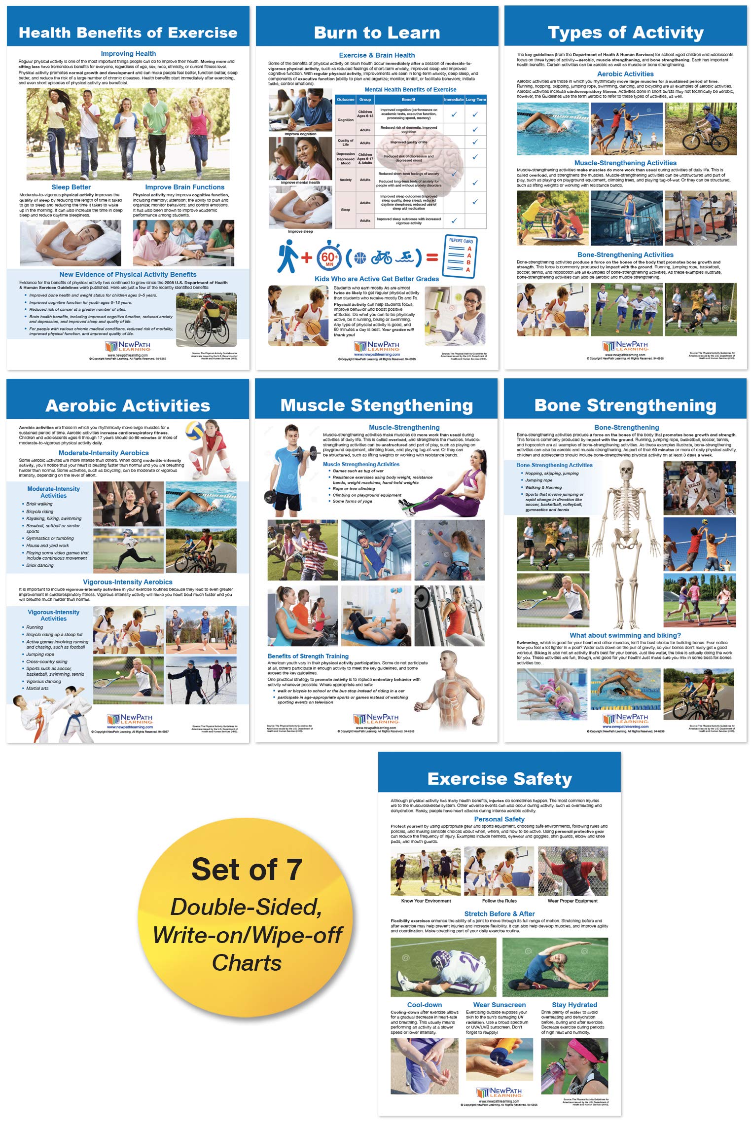 NewPath Learning Exercise Facts Bulletin Board Charts, Set/7 - Laminated, Double-Sided, Full-Color, 12" x 18" (96-6011)