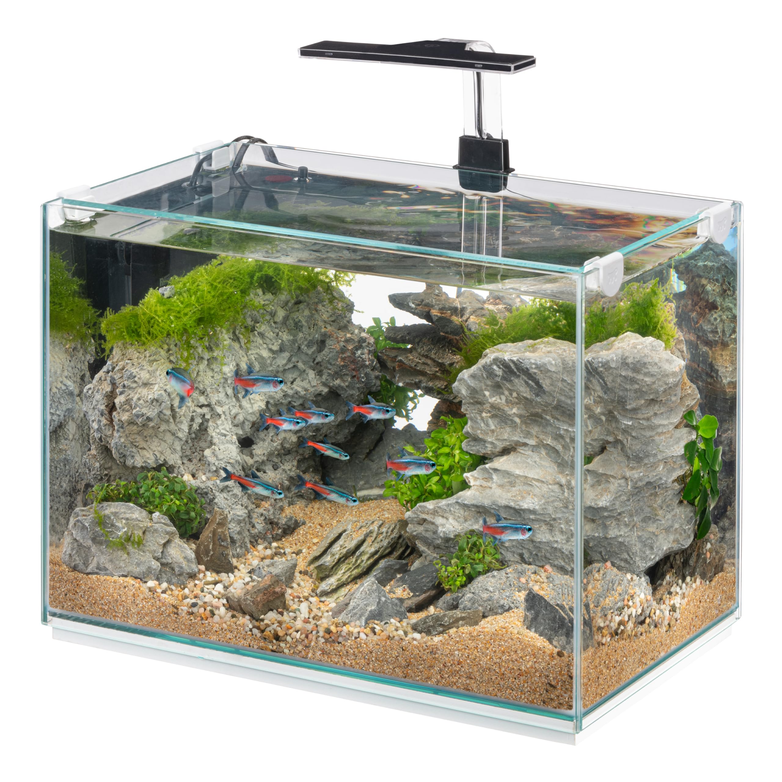 Hydor Acuario 34 litros con Lámpara LED Regulable de 3 Modos (día, Noche y Mixto), Filtro Interno Silencioso y Calentador, 40 x 25 x h 41 cm.