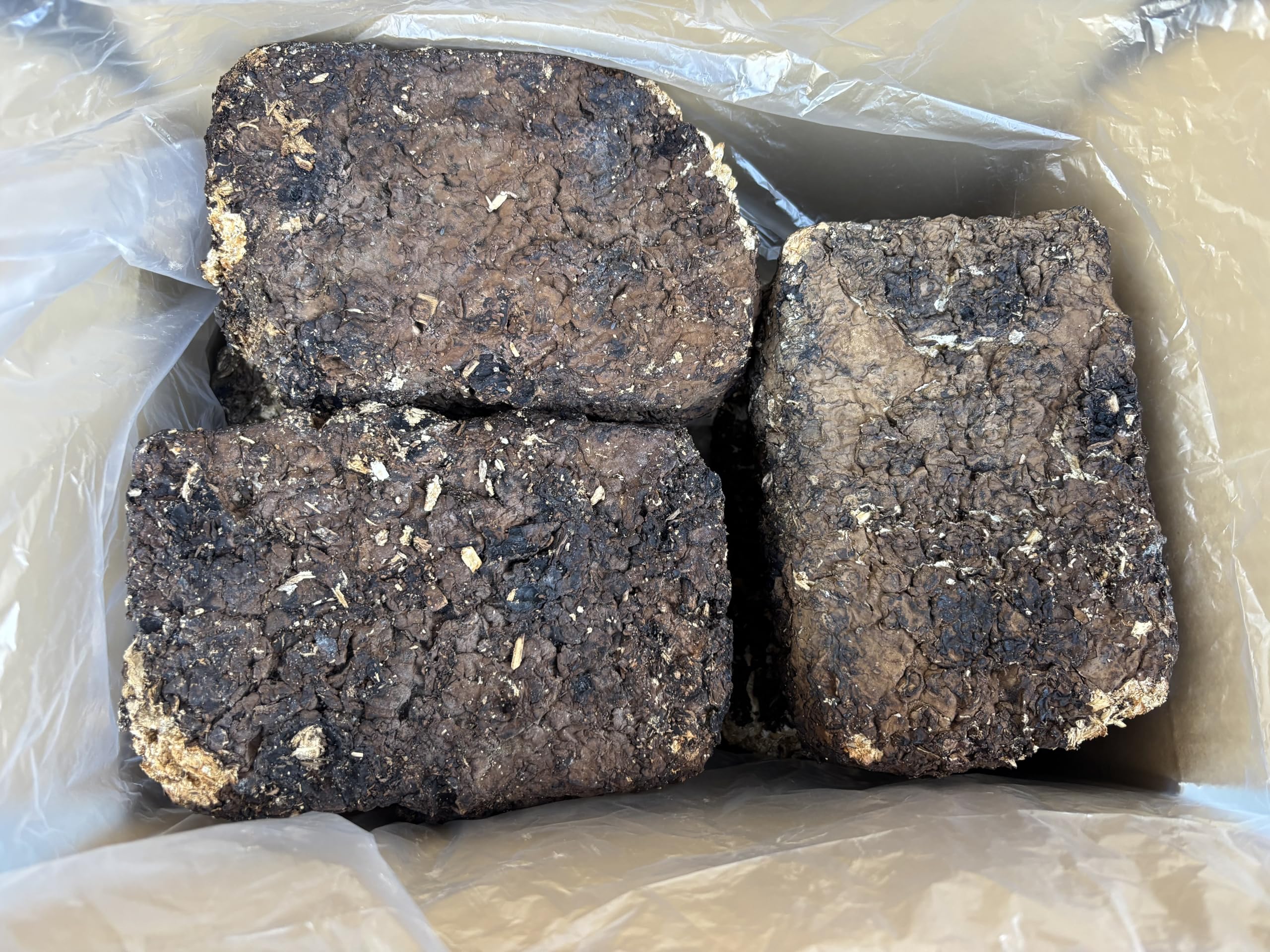 Amazon | 廃菌床・しいたけ菌床・完熟マット 発酵マット 昆虫マット