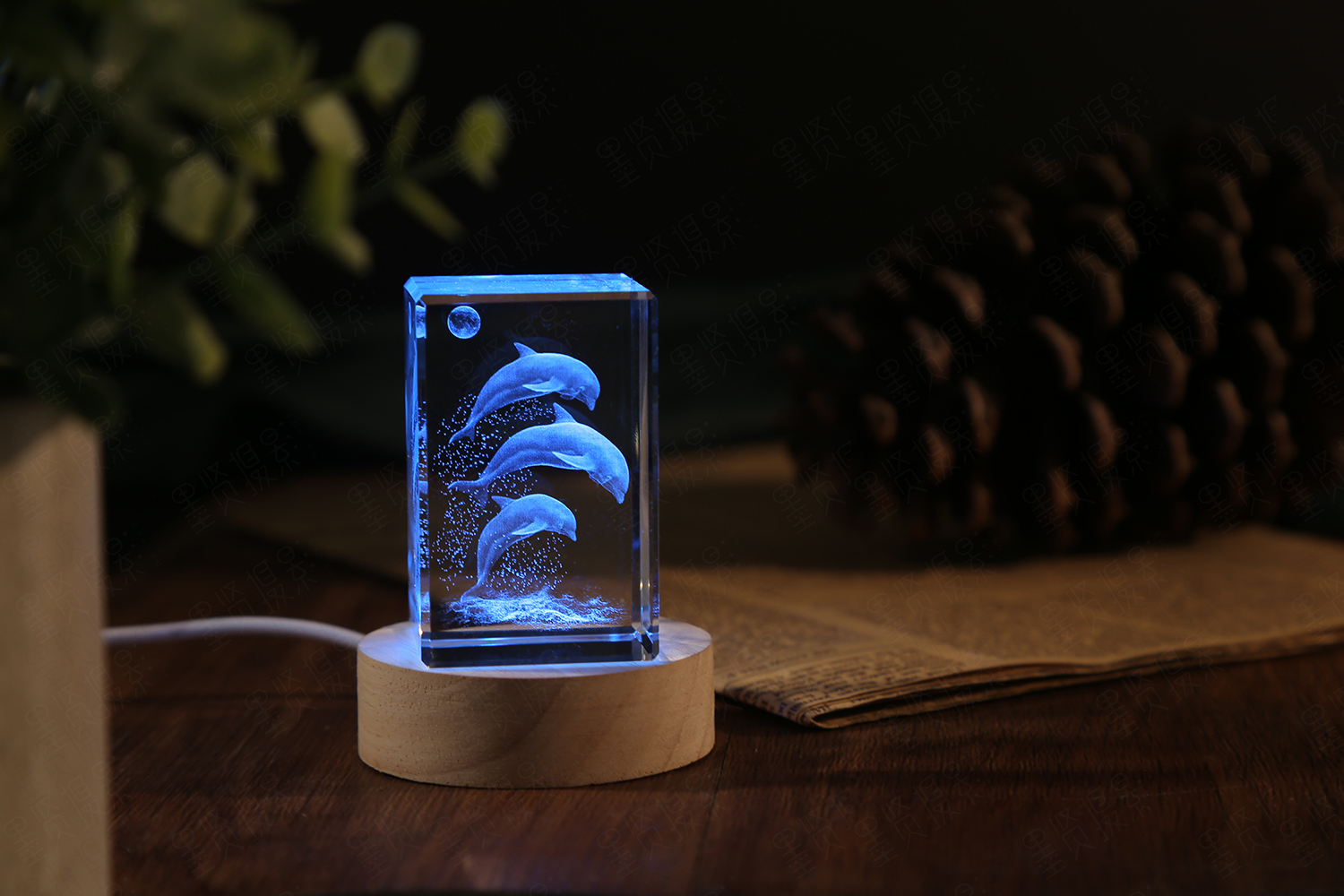 Amazon.com: YouerCrystal 3D Crystal Dolphin Figurine Night Light