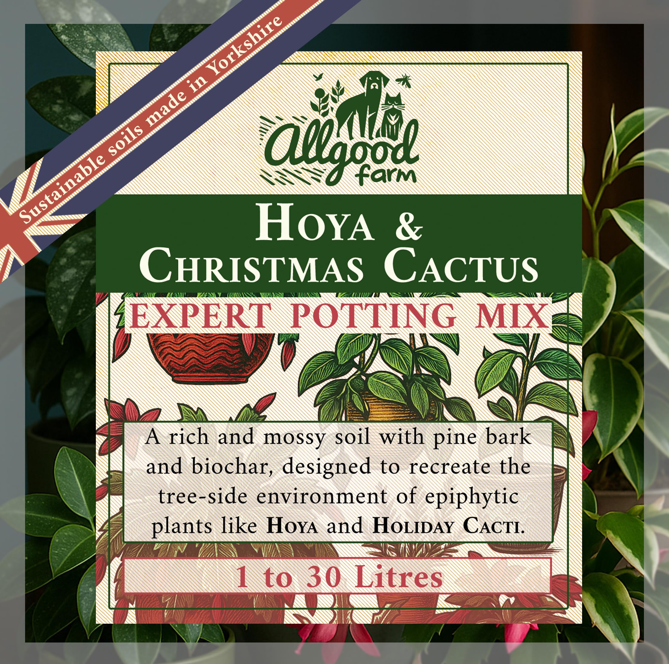Allgood Farm Hoya & Christmas Cactus Soil - Expert Potting Soil Mix for Schlumbergera, Carnosa, Kerrii, Rhipsalis, Holiday Cacti (1 Litre)