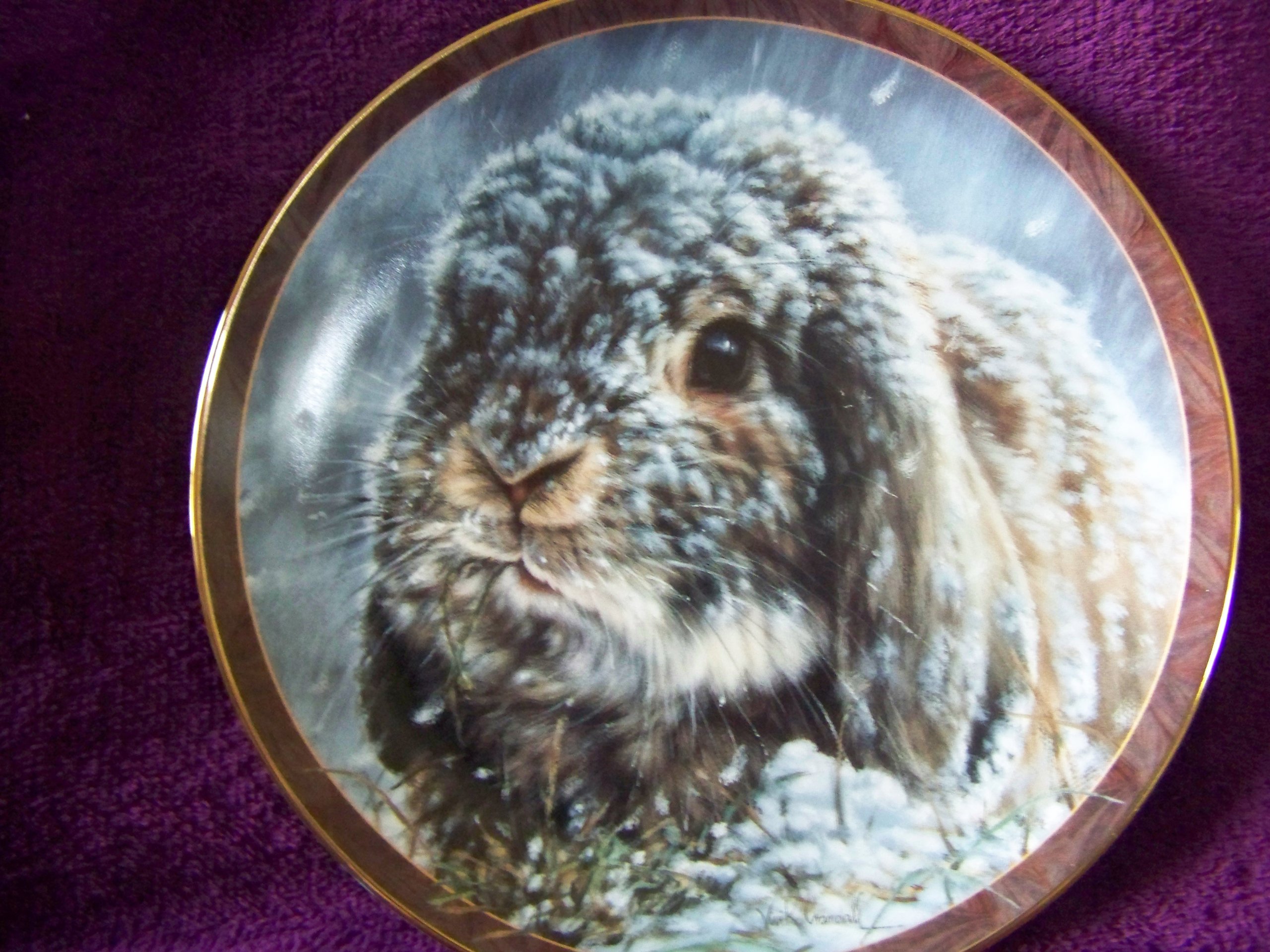 Amazon.com: 1997 Bradford Exchange Bunny Tales Collectible Plate