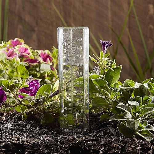 Miniatura 5 de Taylor ClearVu - Medidor de lluvia y rociador