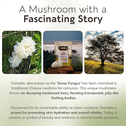Miniatura 7 de Longevity Botanicals Extracto de hongo tremella orgánico en polvo 3.53 oz | Proporción concentrada 10:1, cuerpos 100% fructíferos | Suplemento de