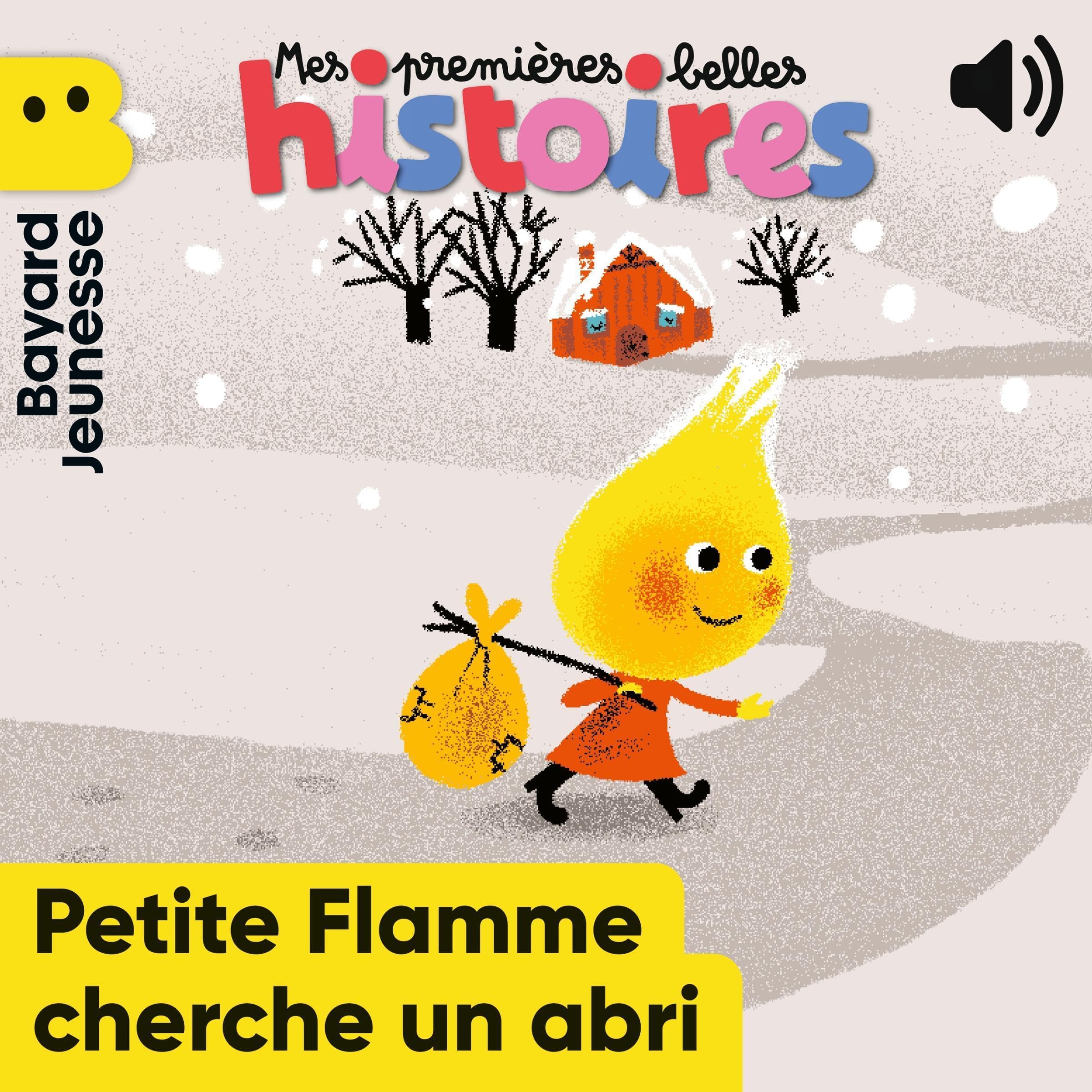 Cover art for Petite flamme cherche un abri