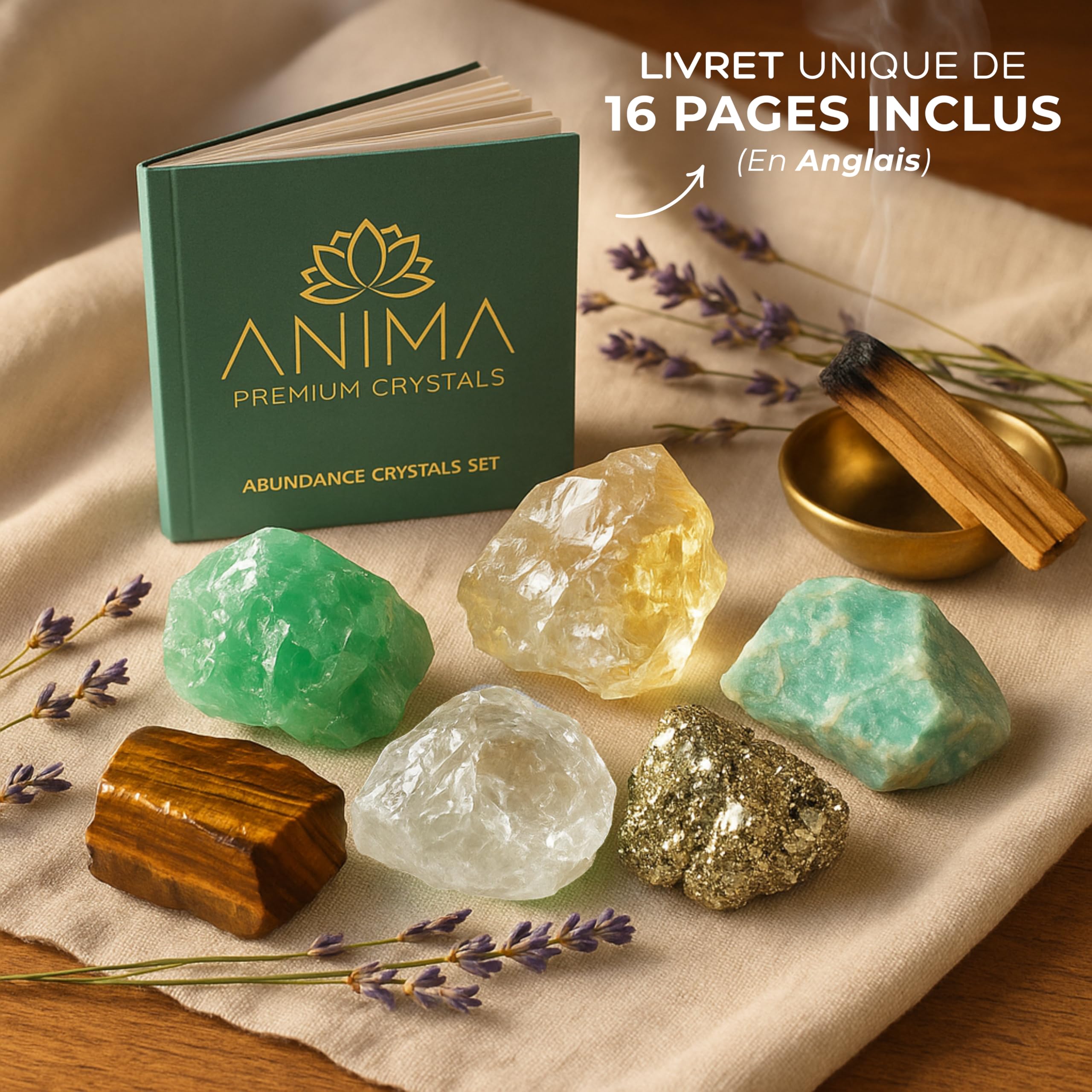 ANIMA Coffret en Pierres Précieuses d’Abondance pour Prospérité, Chance & Succès – Cristaux Naturels Bruts: Citrine, Pyrite, Œil de Tigre, Aventurine, Amazonite & Quartz Clair – Boîte Cadeau en Bois