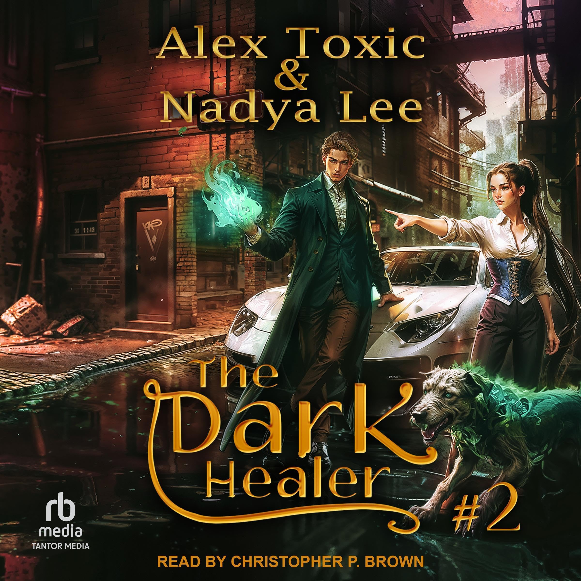 The Dark Healer, Book 2