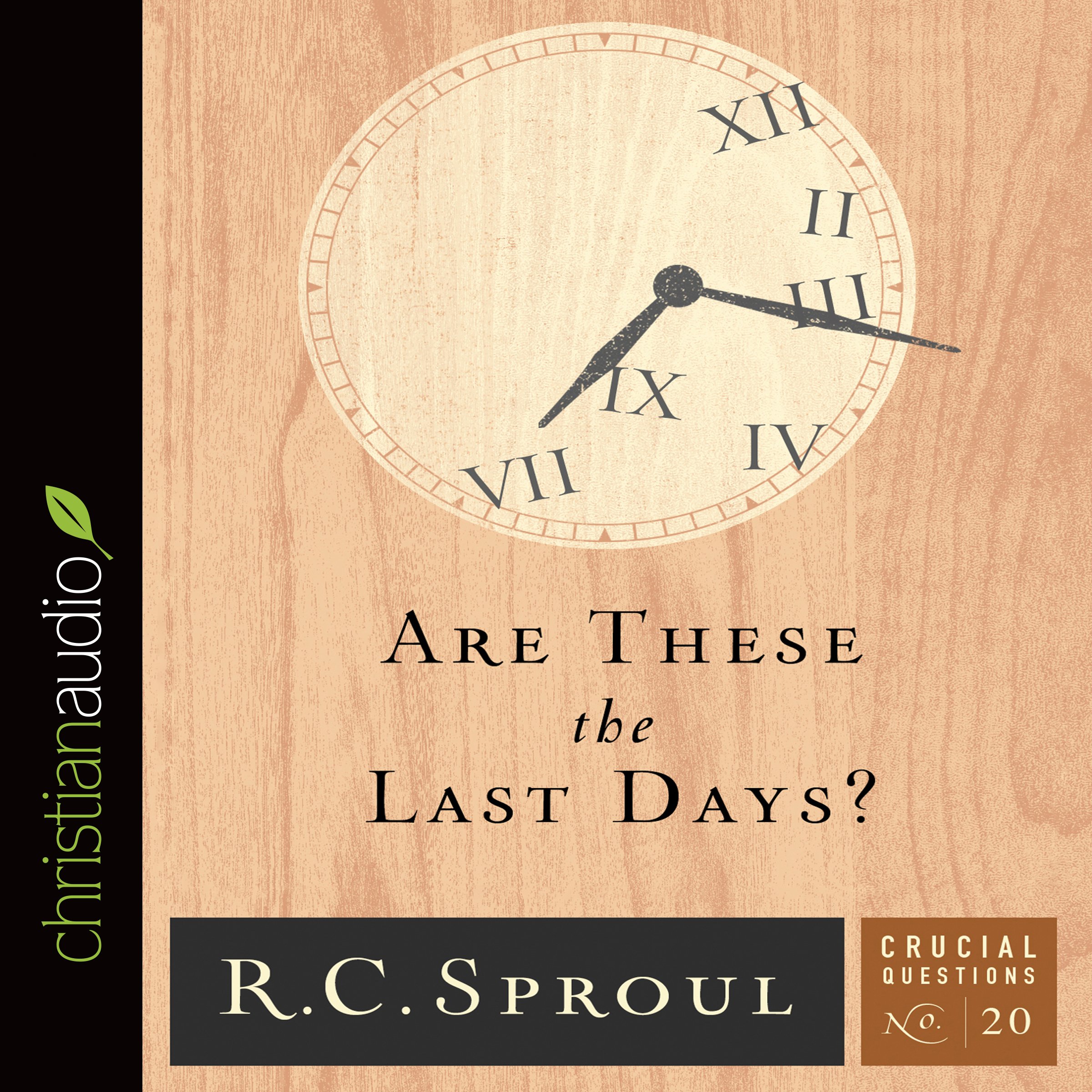 Cover art for Are These the Last Days?