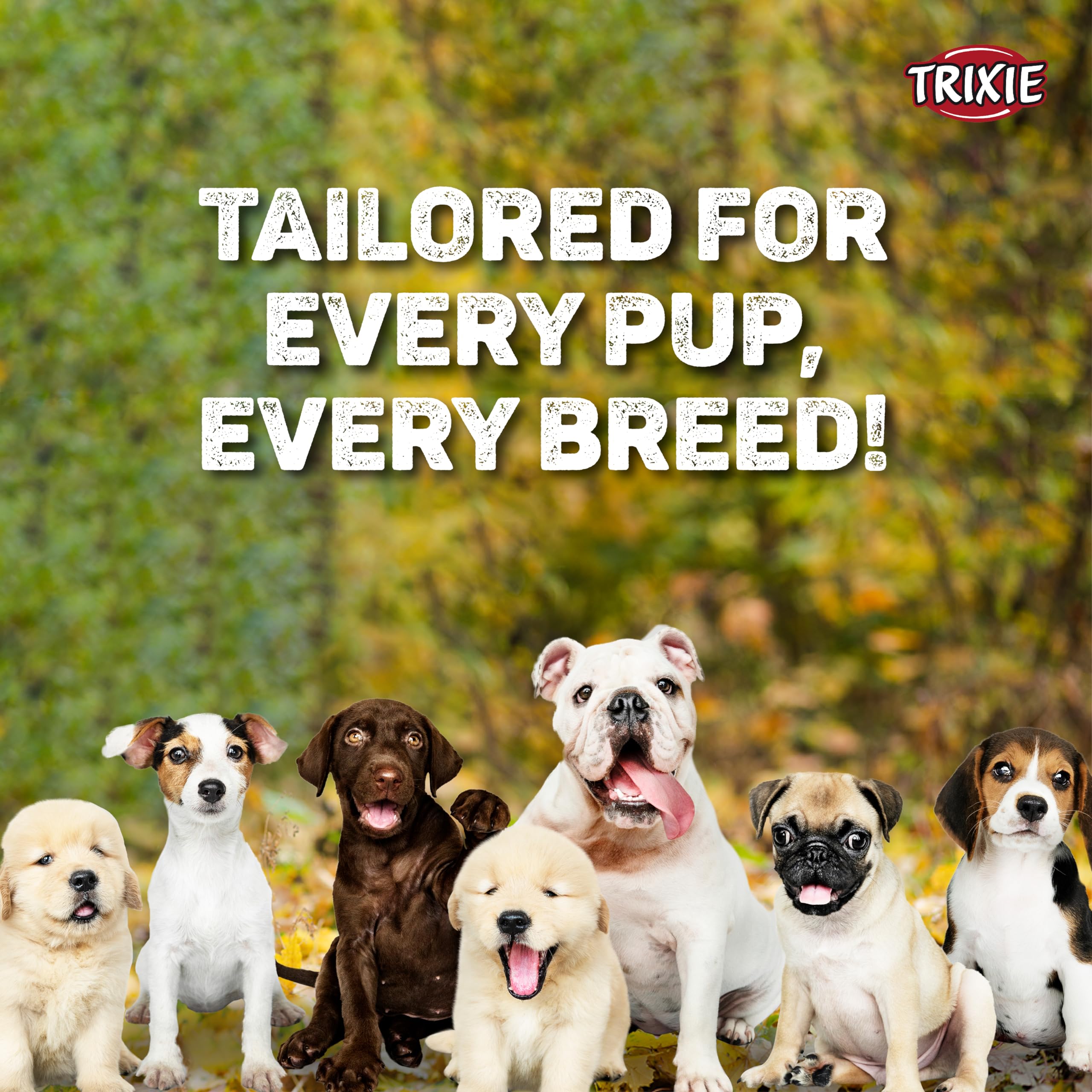View 6