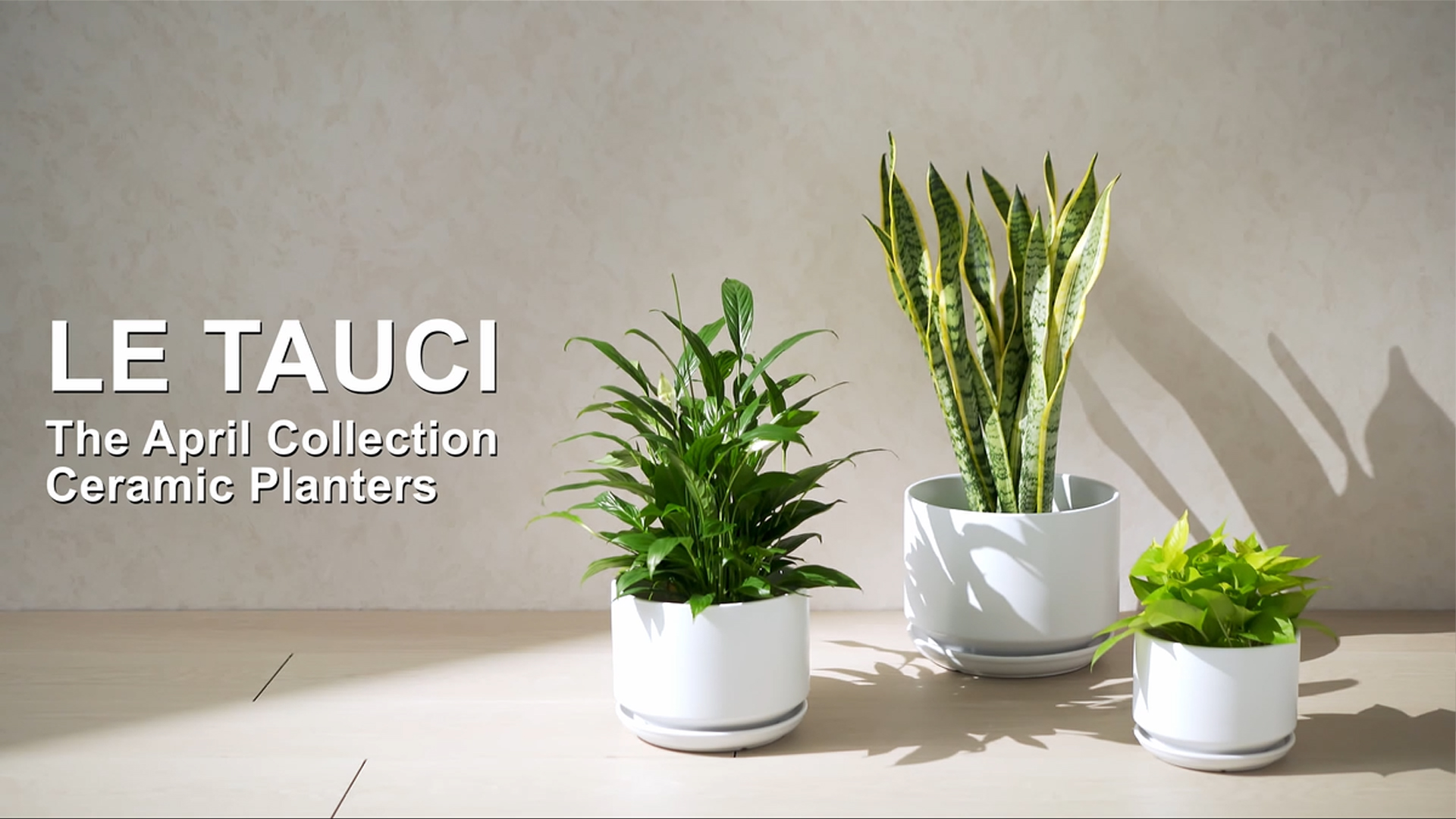 Amazon.com: LE TAUCI 12 Inch Pots for Plants, Ceramic Plant Pots with  Drainage Holes and Saucers, Elegant and Durable Large Plant Pot, Perfect  for Home & Office Decor, White : Patio, Lawn
