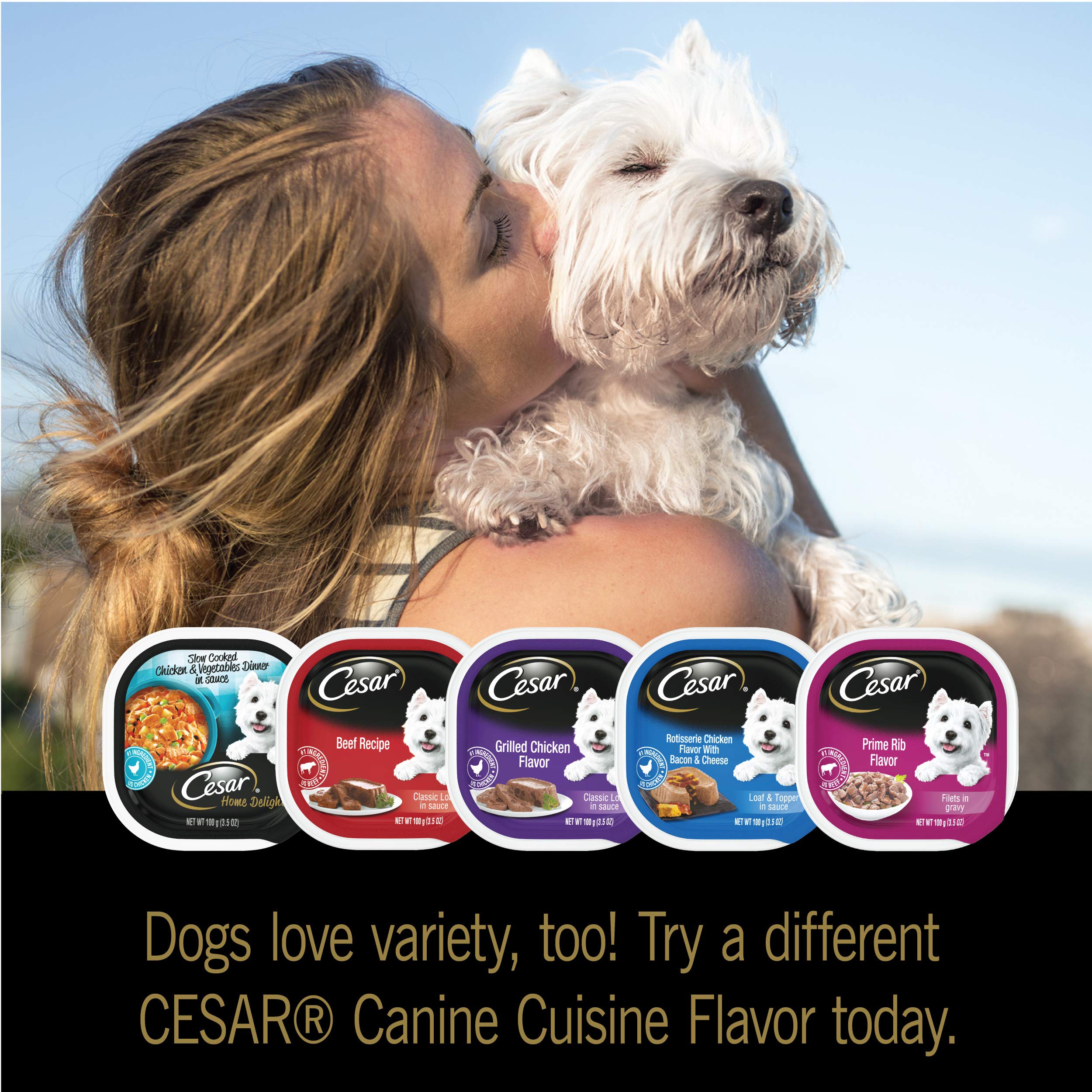 CESAR Adult Soft Wet Dog Food Filets in Gravy Variety Pack, Filet ...