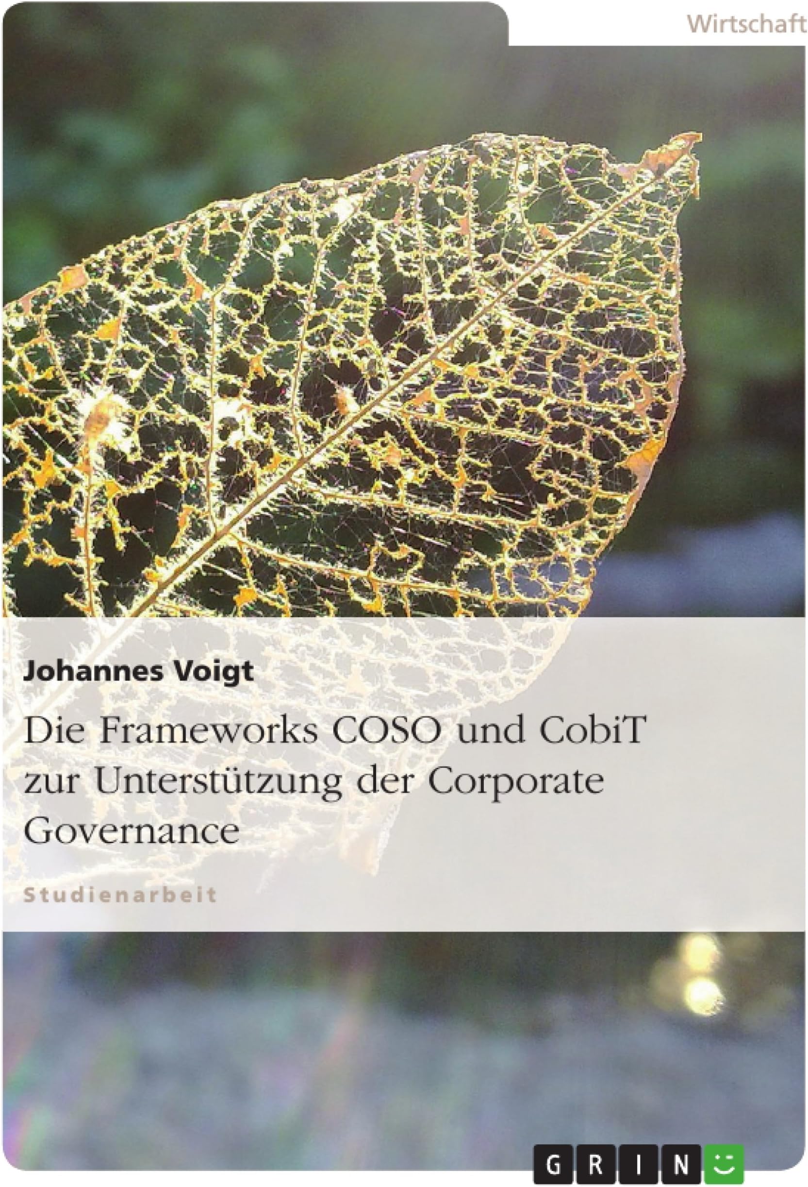 Die Frameworks COSO und CobiT zur Unterstützung der Corporate Governance