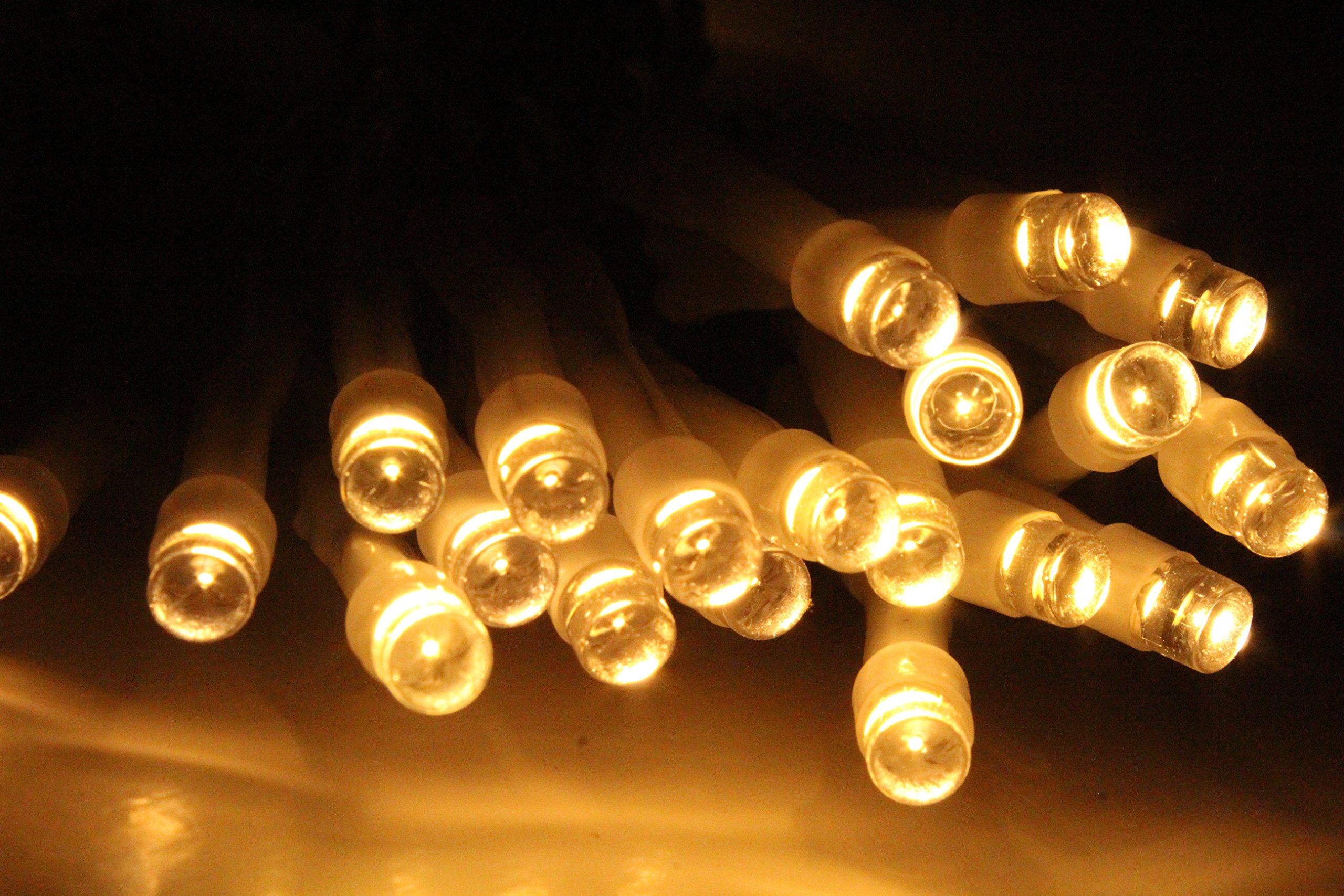 Best Artificial Warm White With Clear Cable (Tm 40 Led Indoor Battery String Lights 4M Length Party Fairy Christmas (Warm White With Clear Cable)
