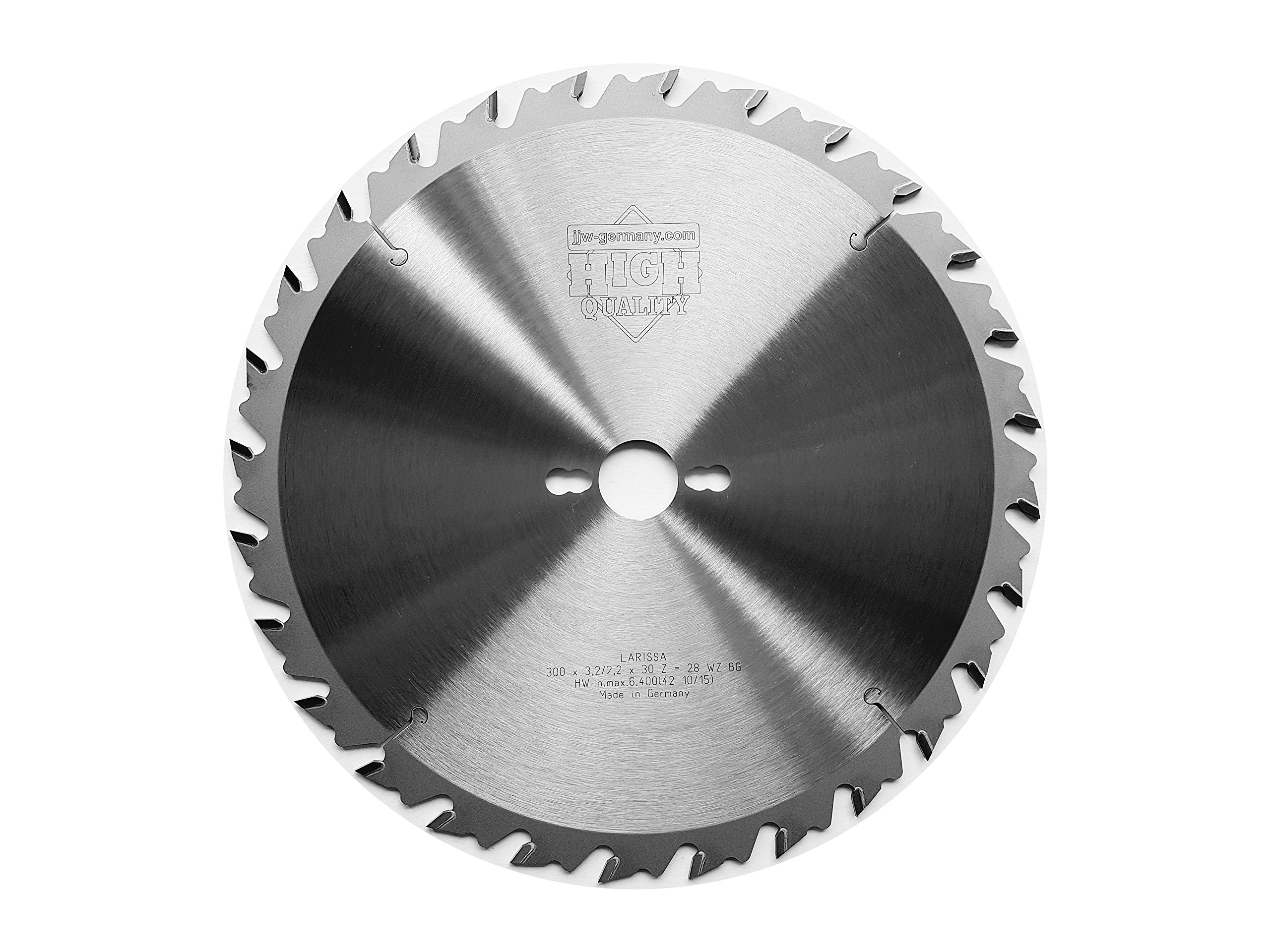 jjw de Alemania HM – Hoja de sierra circular Larissa 300 x 30 z = 28 WZ BG para madera sin revestir/leña, 1 pieza, 4250980600578