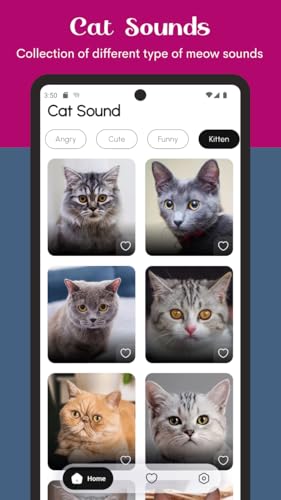 Cat Sounds: Meows, Purrs, and Kitty Calls