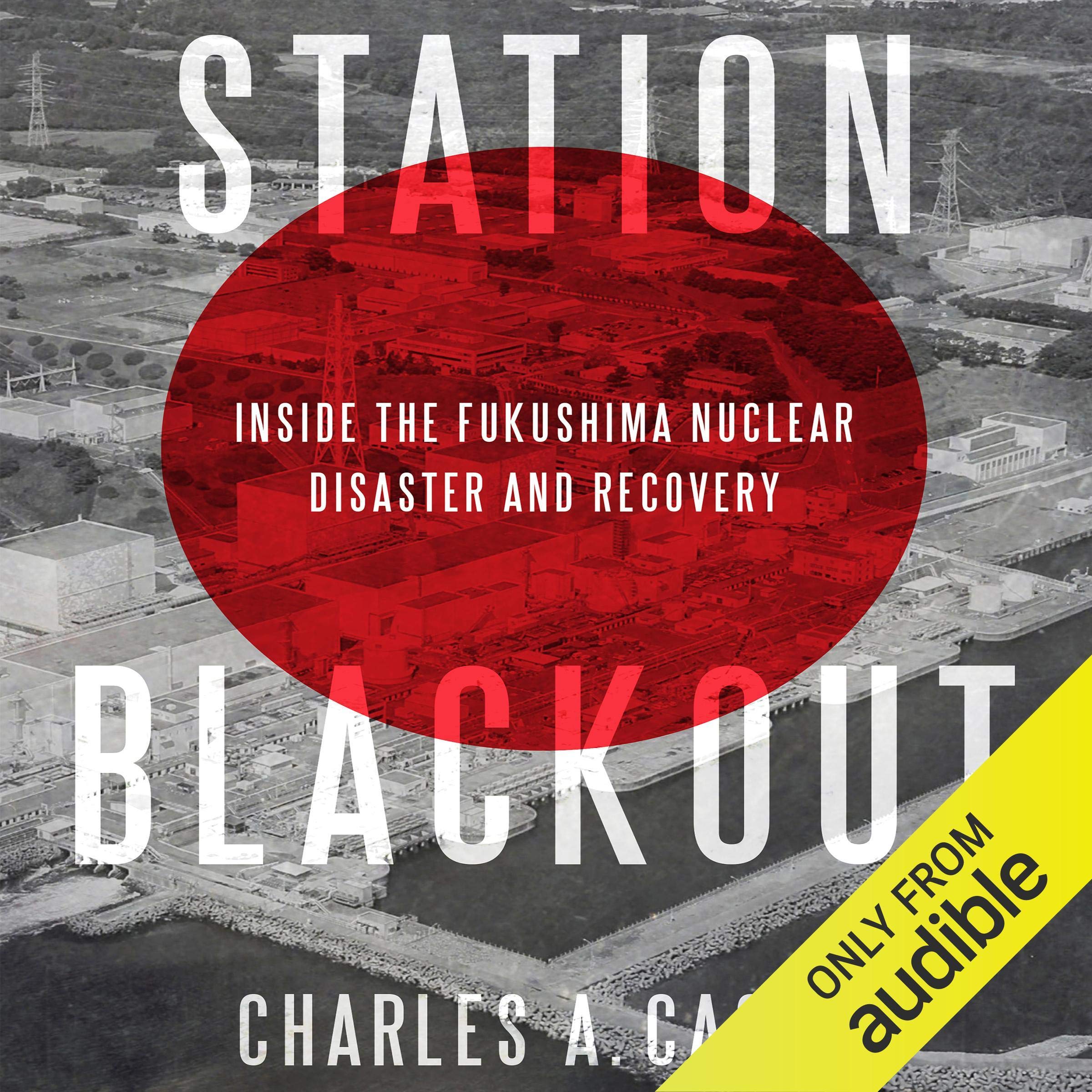 Cover art for Station Blackout