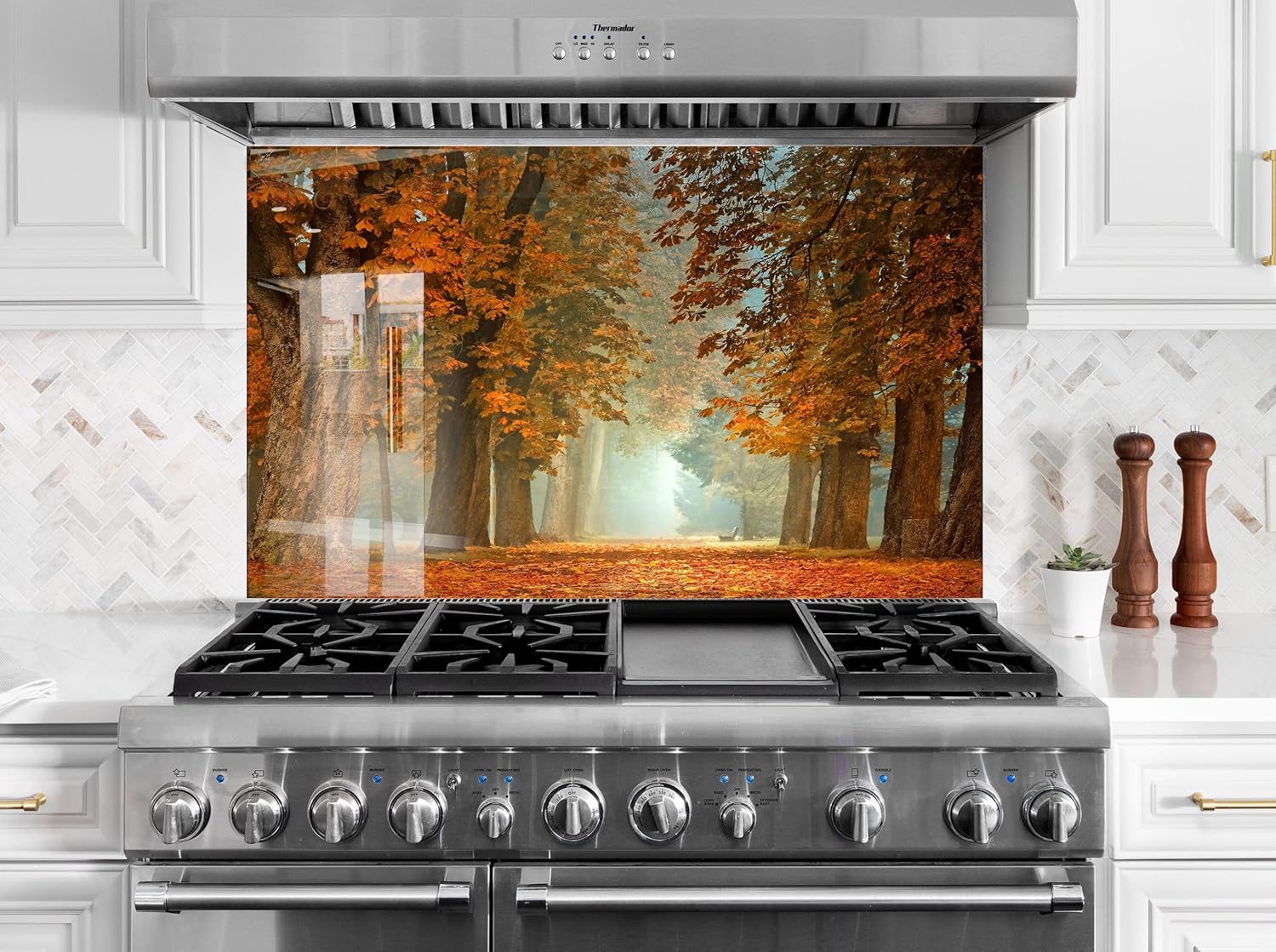 Myphotostation.com 23.5Wx12H'' Tempered Glass Forest Backsplash Design Cooker Wall Backsplash Panel Glass Splashback for Kitchen Panel Brown Tree Autumn Splashback Tropical