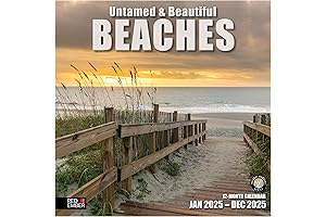 2024 Untamed & Ocean Life Wall Calendar