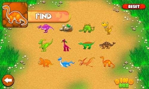 Dino Box
