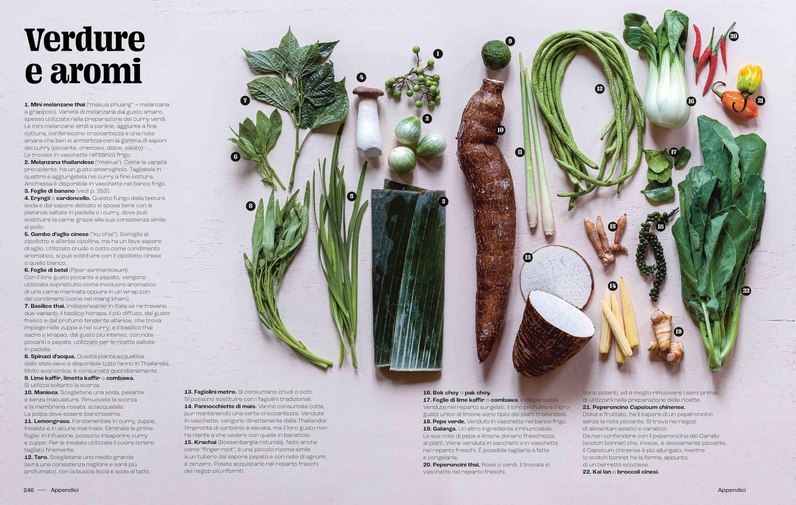 Cucina thailandese facile. 100 ricette, tecniche e consigli per cucinare a casa vostra come in Thailandia