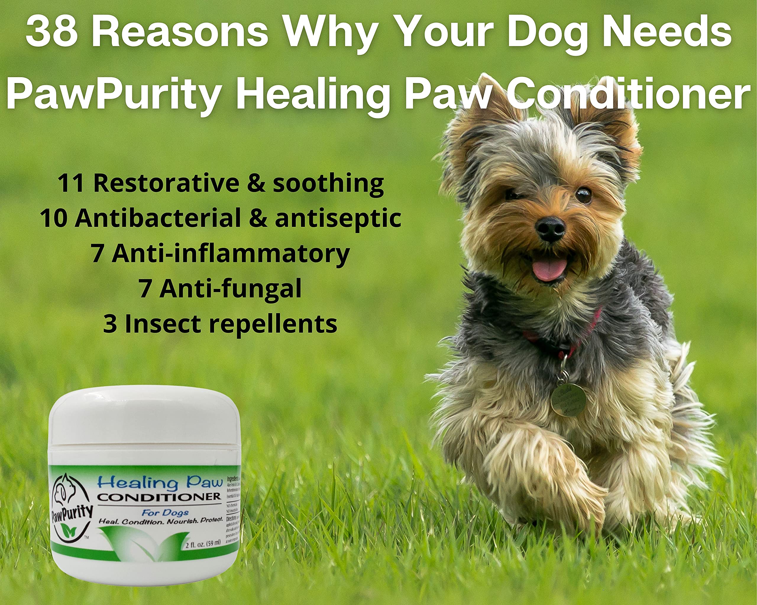 How Can I Soothe My Dogs Sore Paws