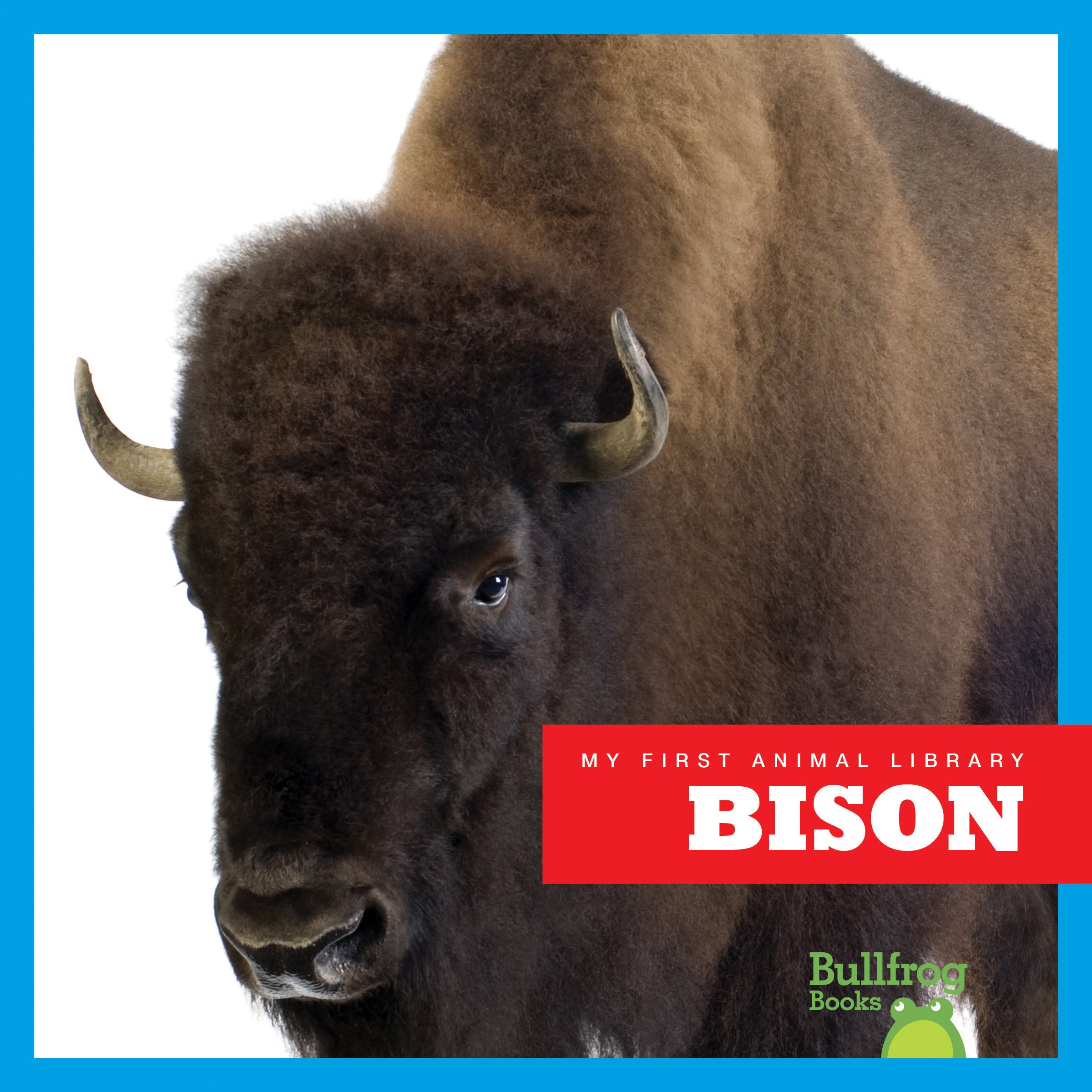 Bison (My First Animal Library)