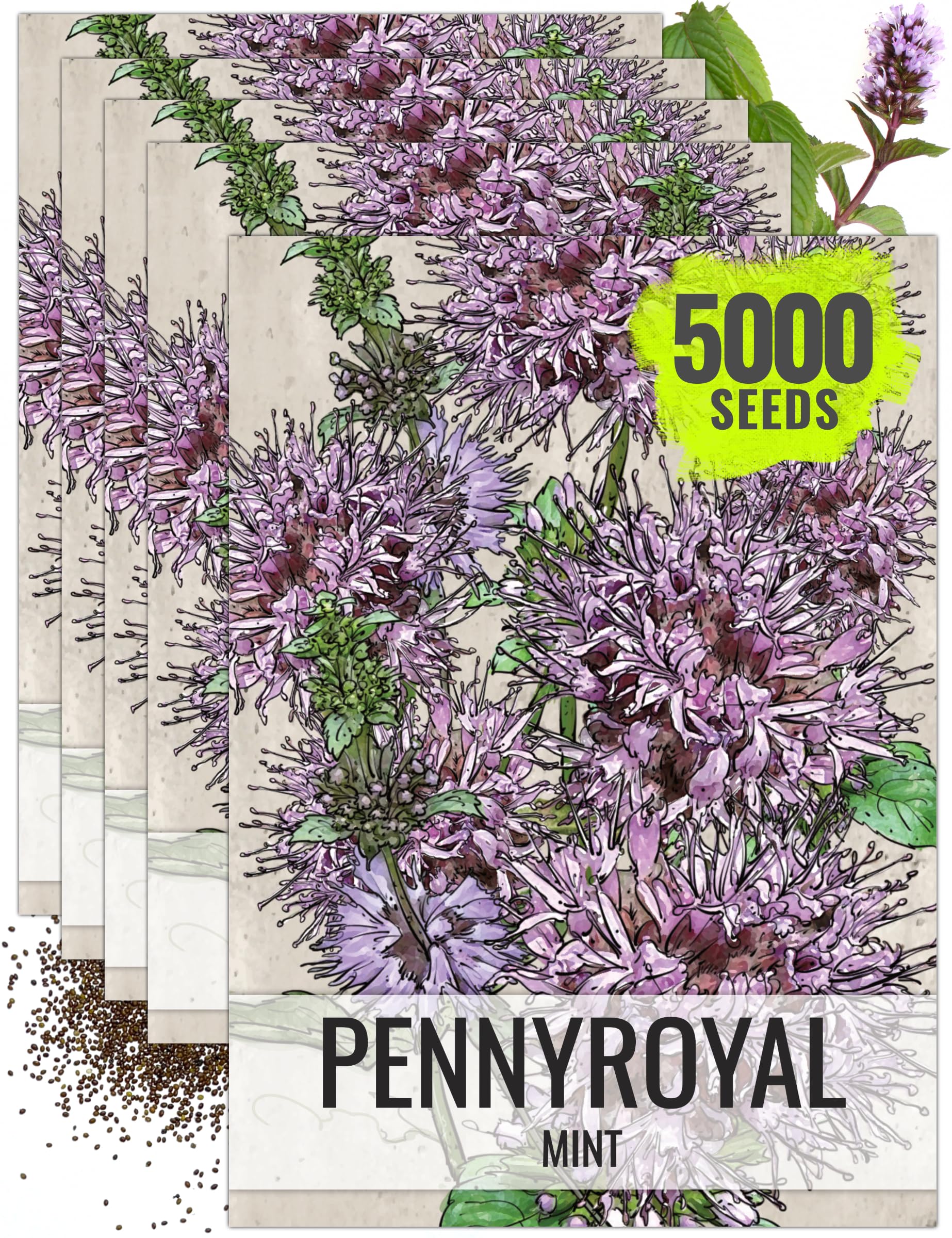 Seed Needs Pennyroyal Mint Seeds