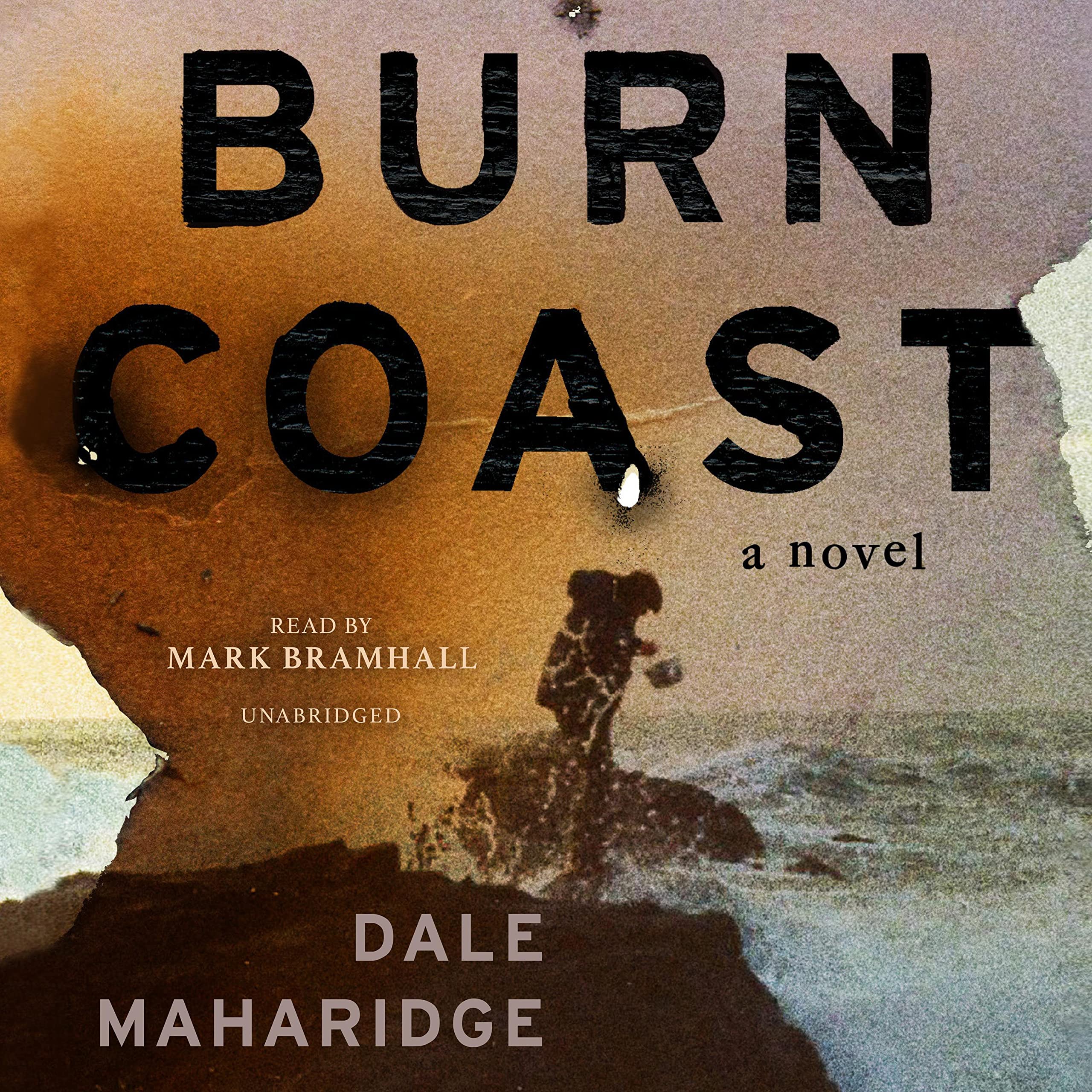 Cover art for Burn Coast