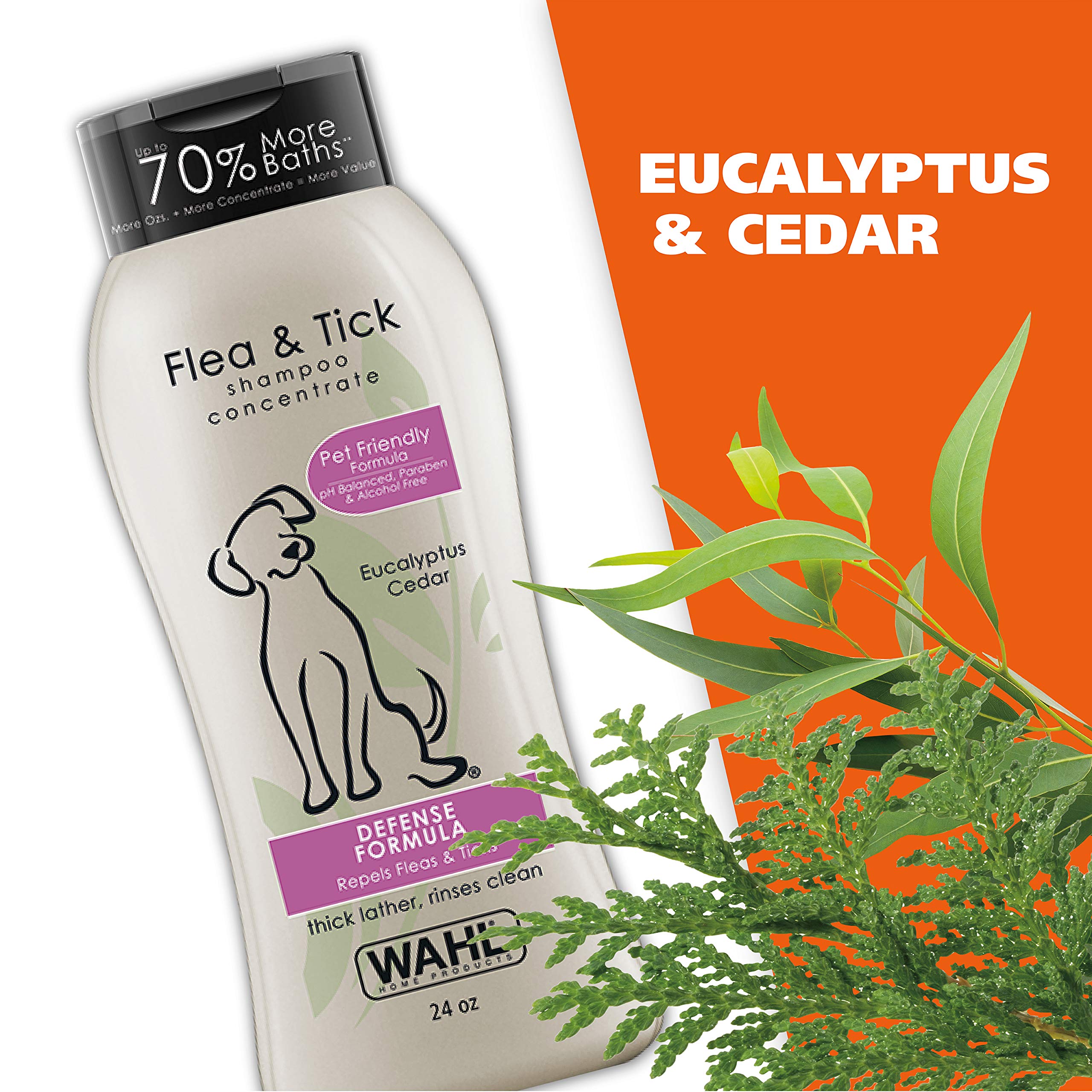 fleas eucalyptus