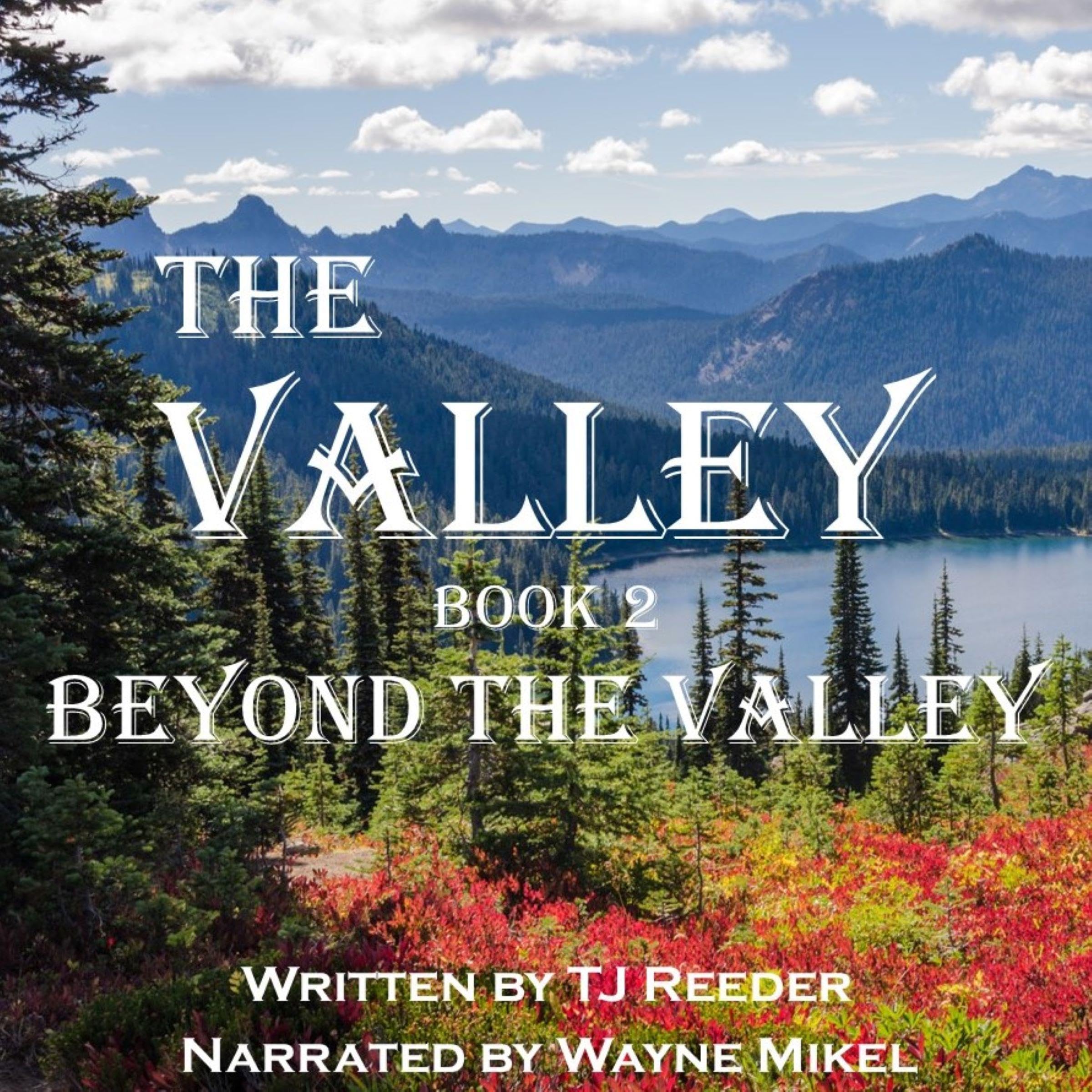 Cover art for The Valley