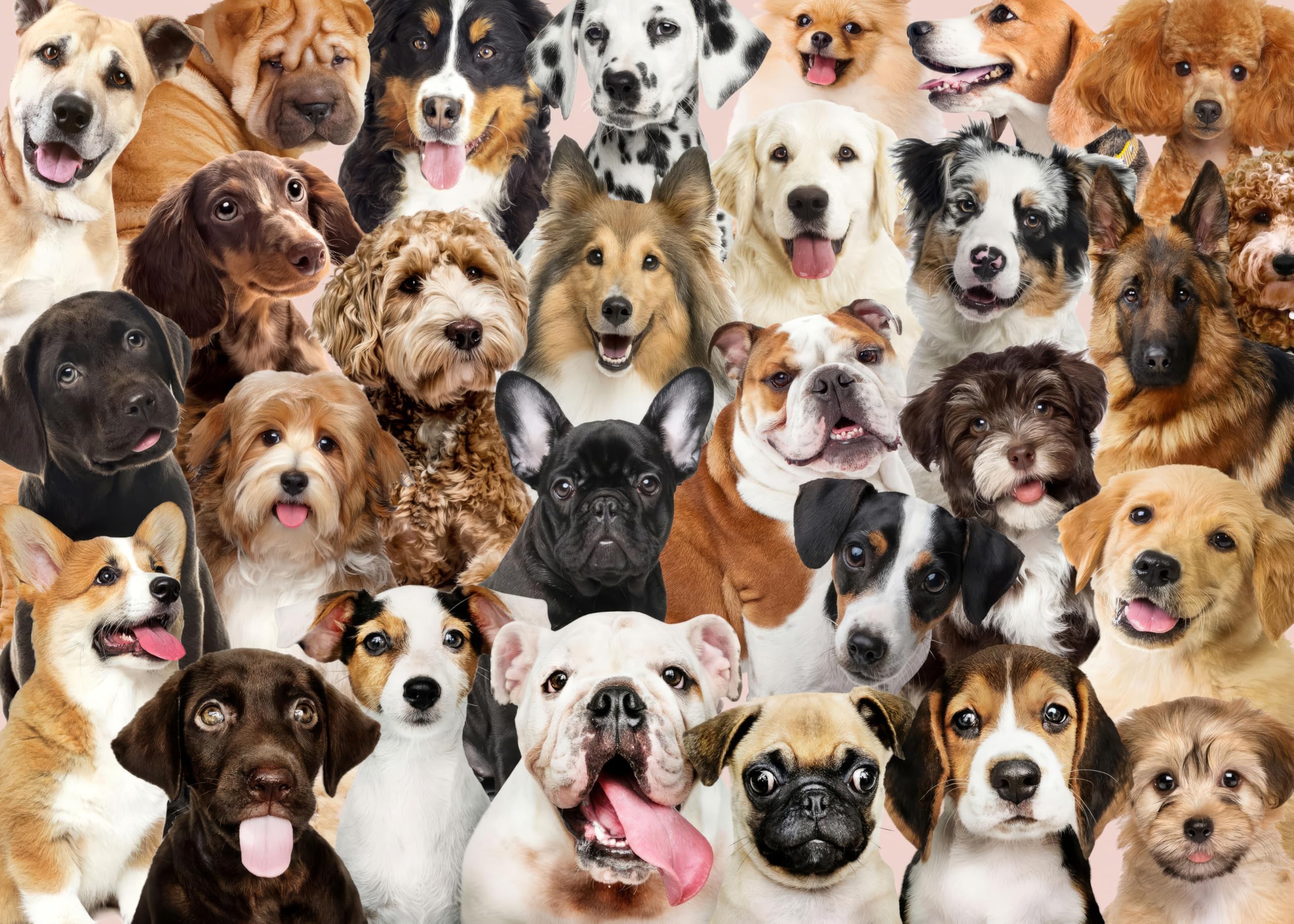 Jigsaw Puzzles for Adults 1000 Piece Lovely Dogs 27.56 x 19.69 Inch Puzzles for Adults Educational Challenge 1000 Pieces Dog Puzzles for Adult