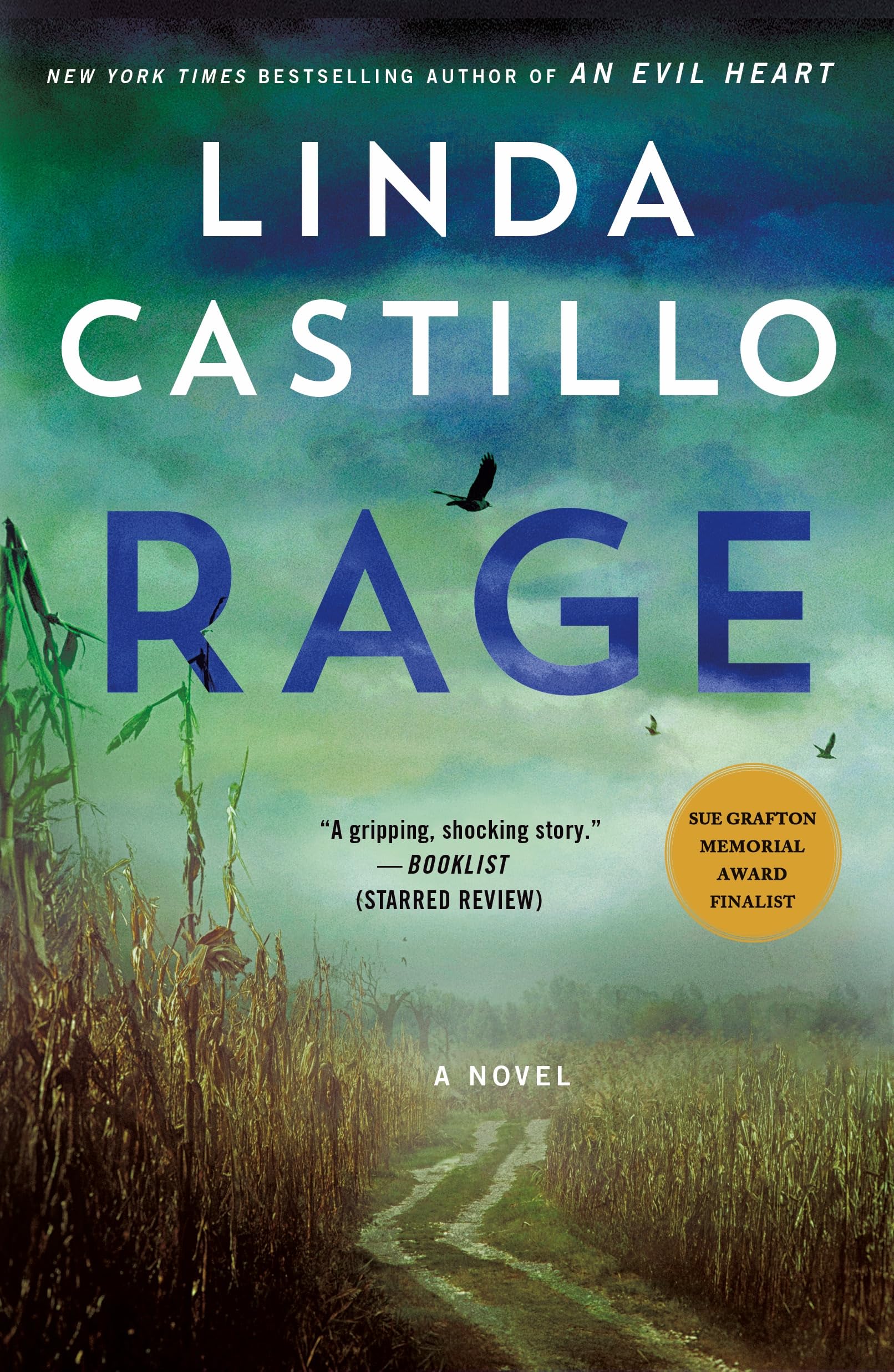 Rage: A Novel: 17 (Kate Burkholder)