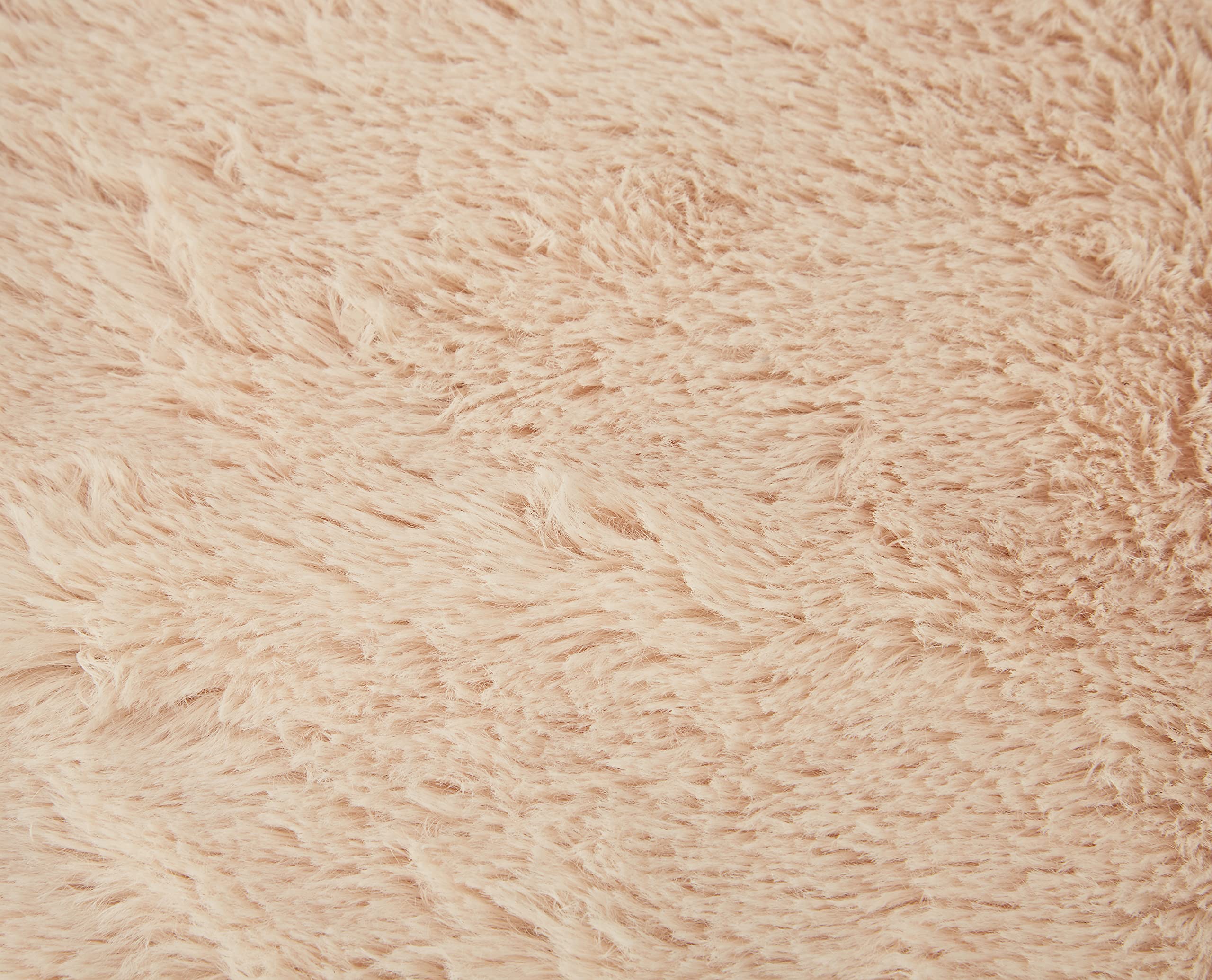 Trixie Tammy coperta