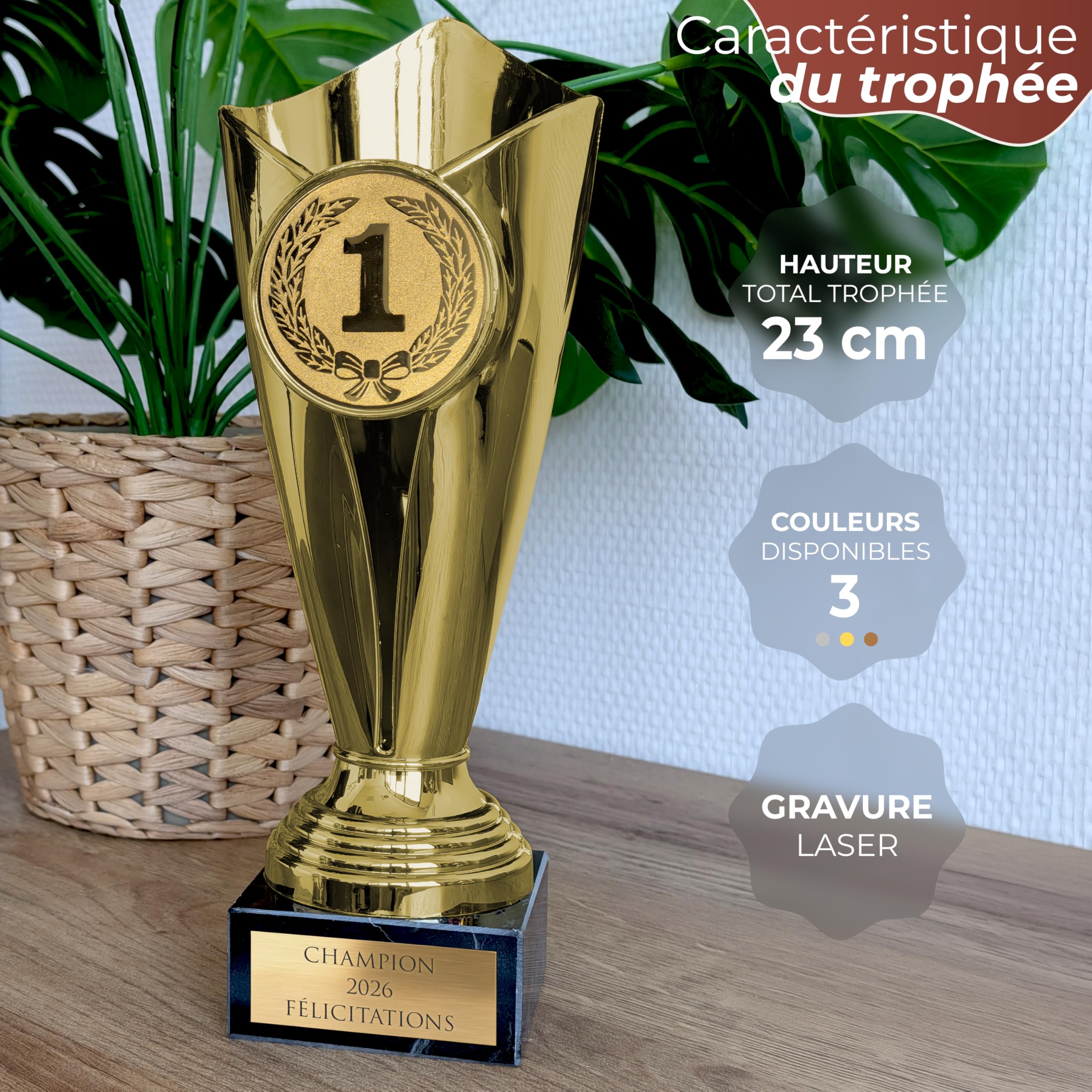 KDO MAGIC - Trophée Personnalisable - Coupe personnalisé avec Gravure - Cadeau fête des pères, noël, Retraite, événement Sportif - Or/Bronze/Argent