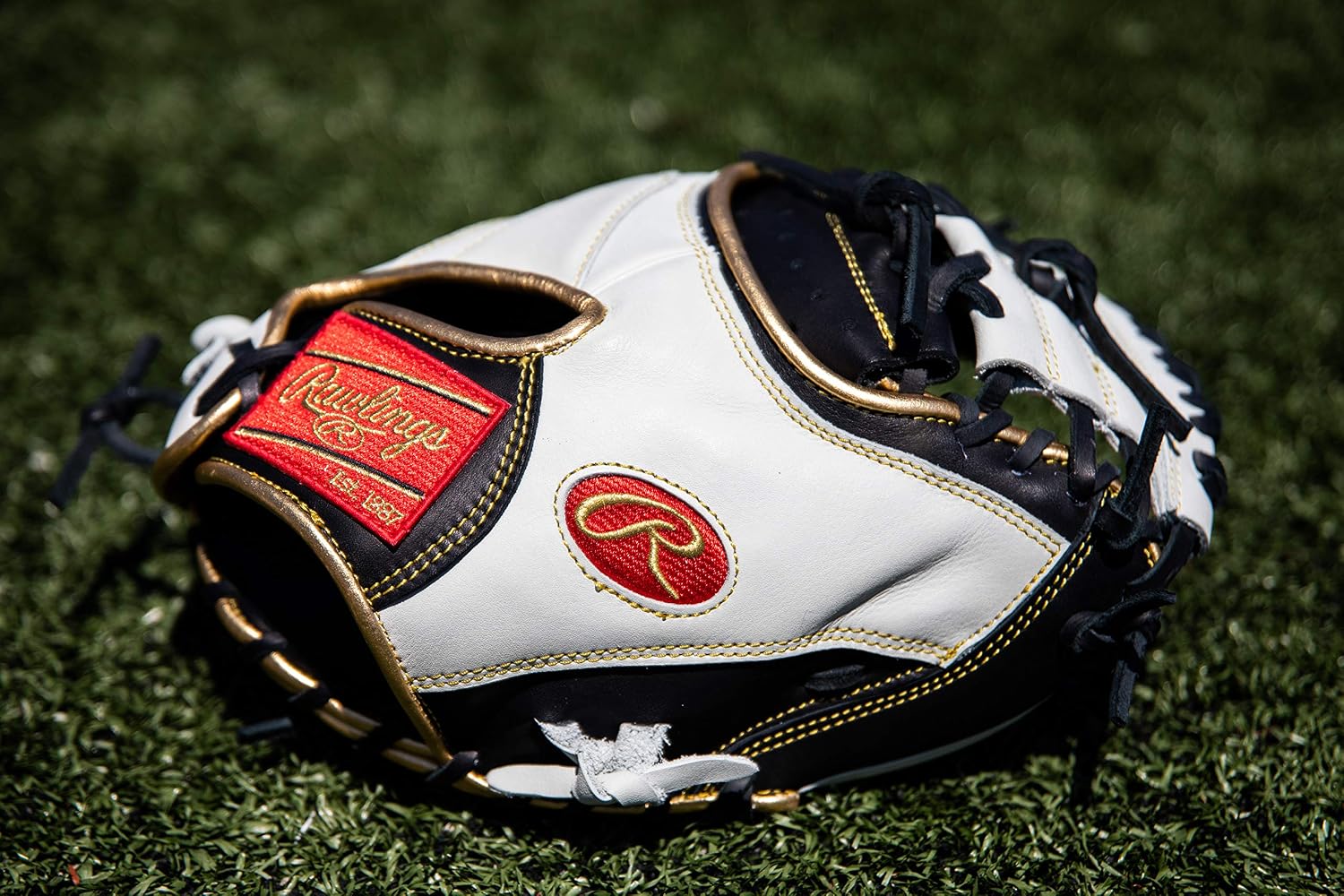 Rawlings Encore Baseball Gloves Series
