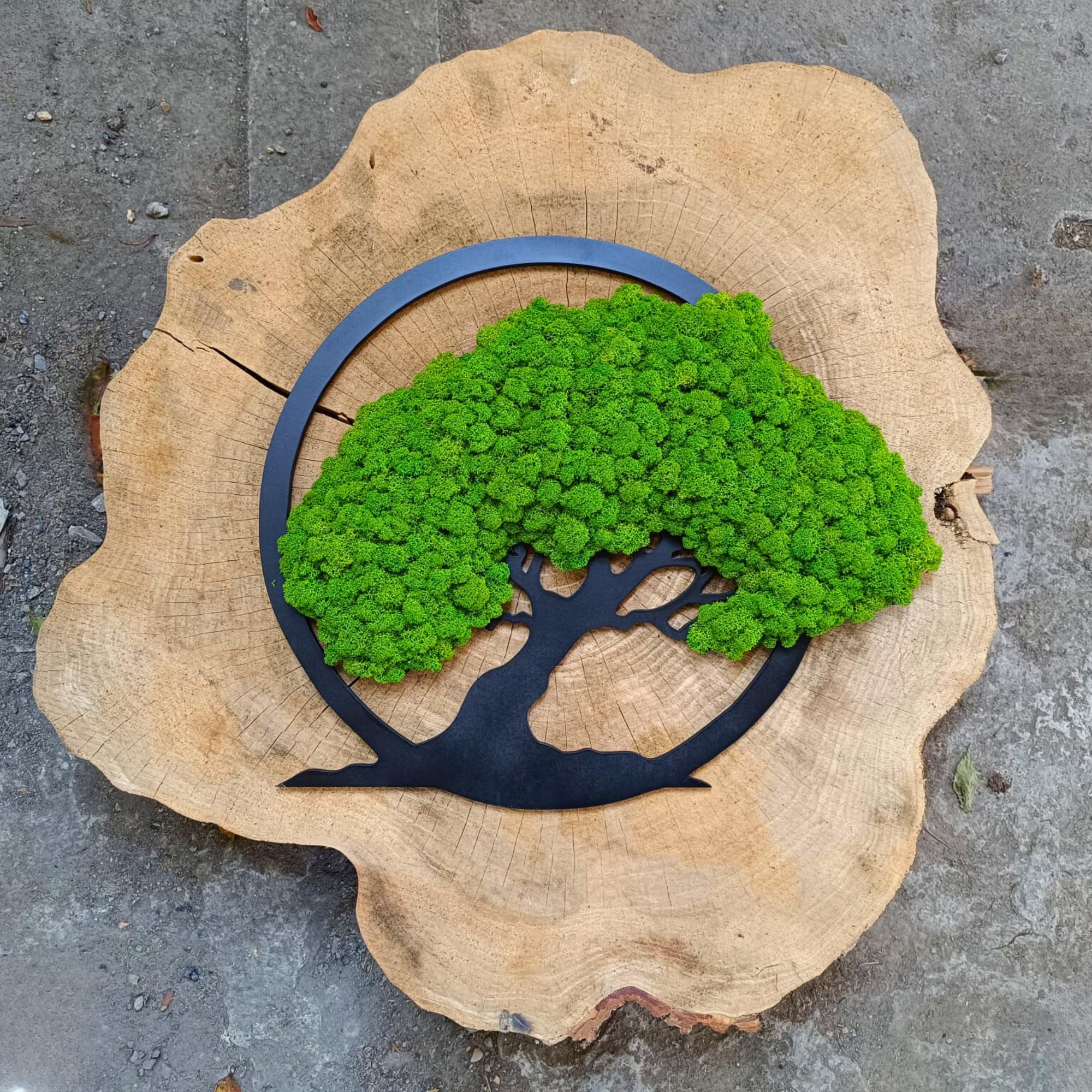 Scandinavian Moss Imágenes de musgo en forma de árbol, hermoso árbol de pared, trae vida a tu vivienda, mural de materias primas naturales y musgo decorativo, 50 cm