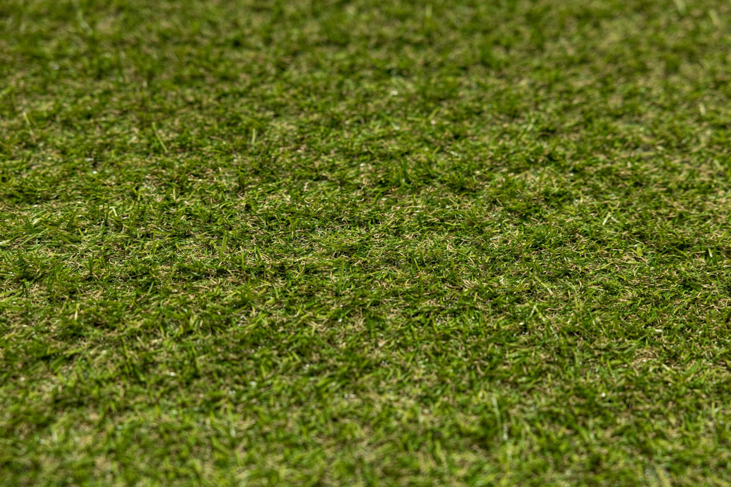 Kunstrasen AIMSLEY 21mm 300x500 cm Kunstrasen für Balkon, Terrasse, Garten, Poolbereich, weich Wasserdurchlässig Grün Artificial Grass, Outdoor Kunstrasen Rollrasen mit Meterware, Rasenteppich
