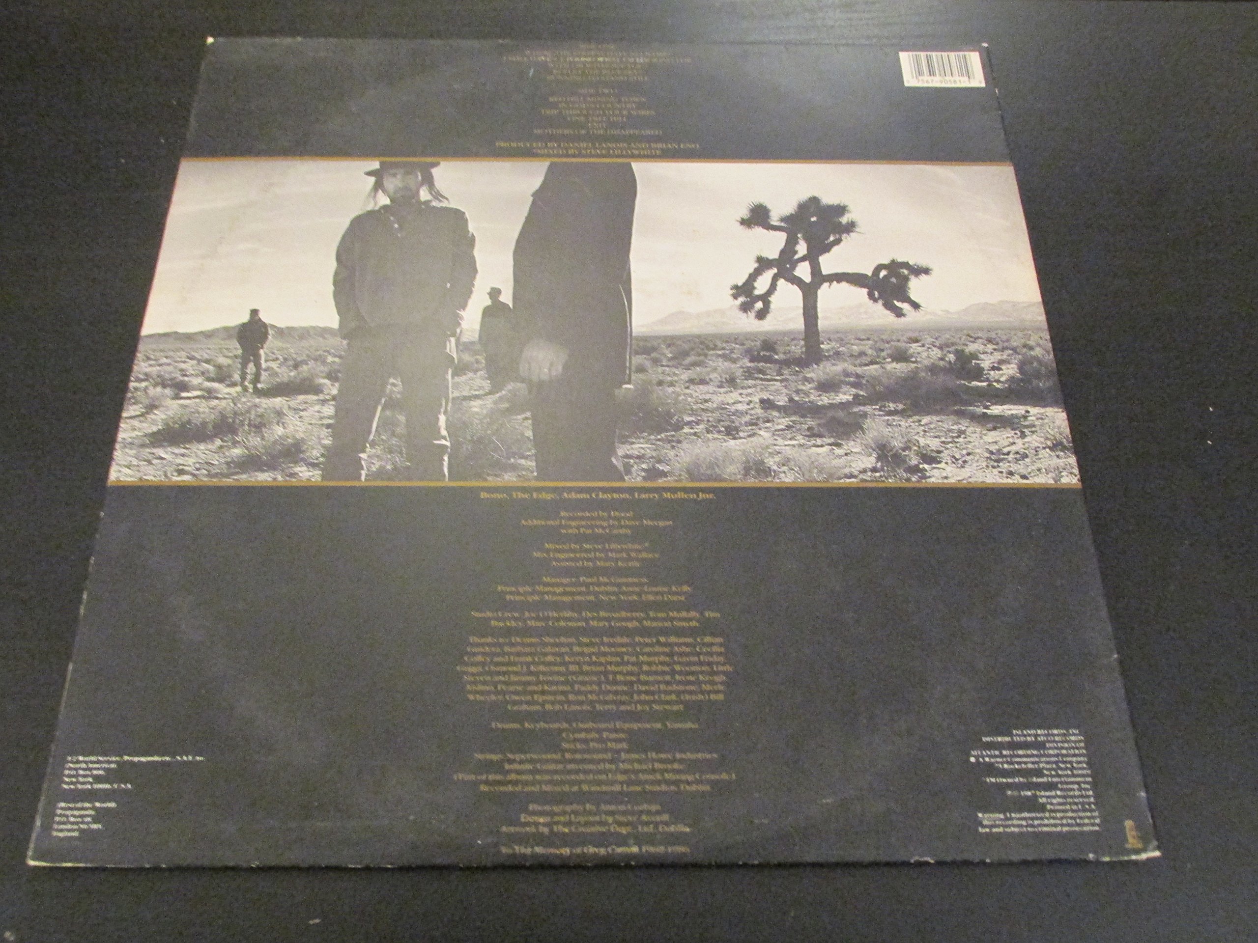 The Joshua Tree