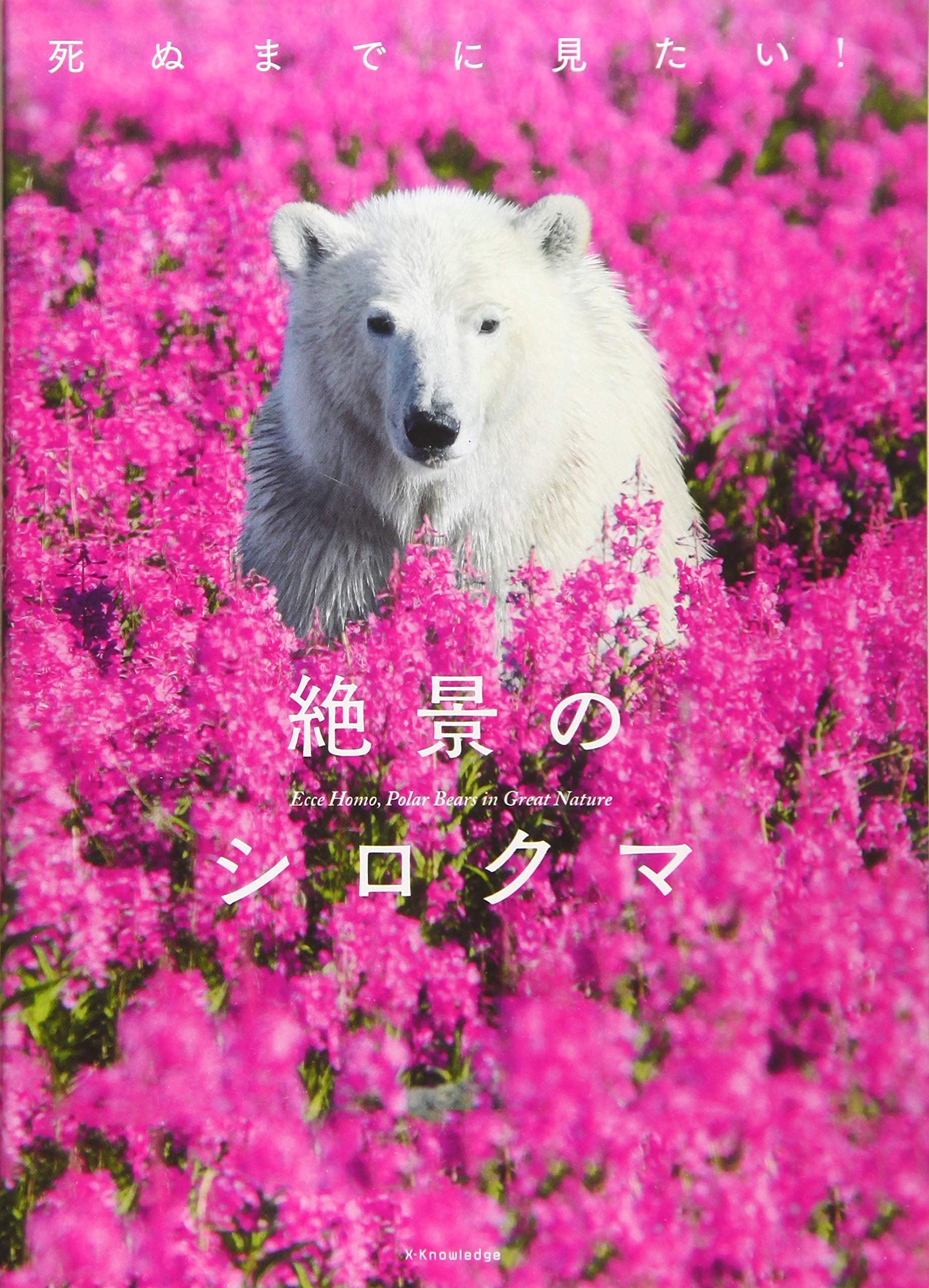 死ぬまでに見たい！絶景のシロクマ | 聖一, 澤井 |本 | 通販 | Amazon