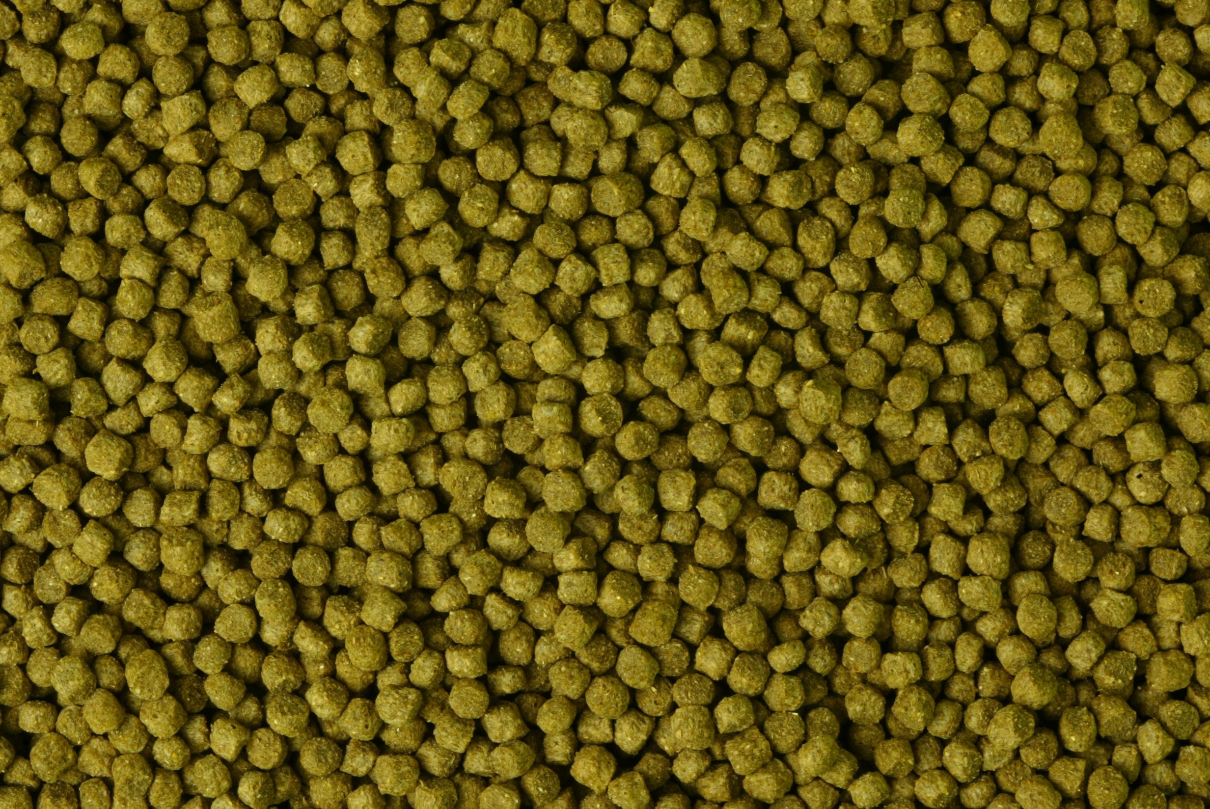 Pettex Complete General Pellet - Alimento para Peces, 10 kg