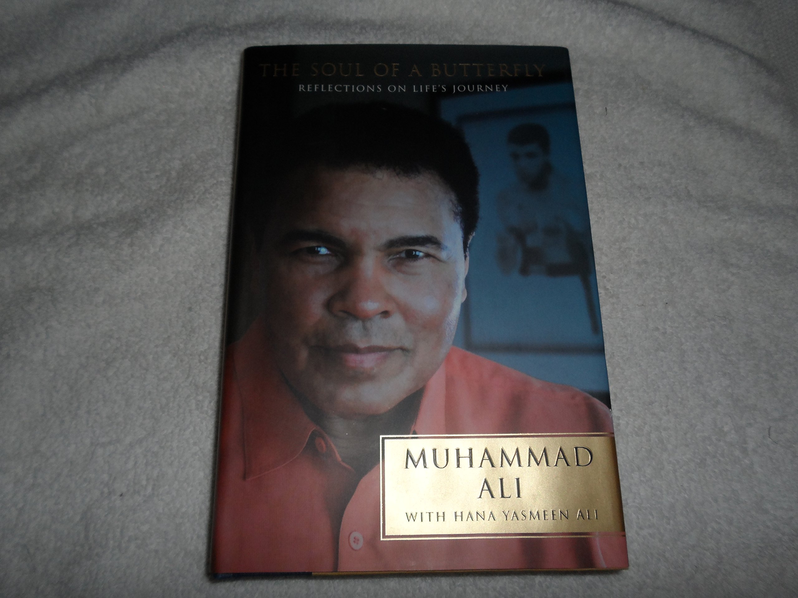 The Soul of a Butterfly: Reflections on Life's Journey