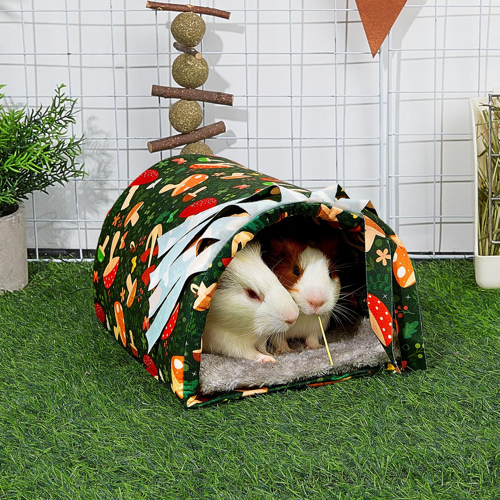 Glittme Guinea Pig Hideout with Curtain and Tunnel - Soft Bed with Cushion - Suitable for Guinea Pig, Hamster, Chinchilla, Bunny - Mushroom