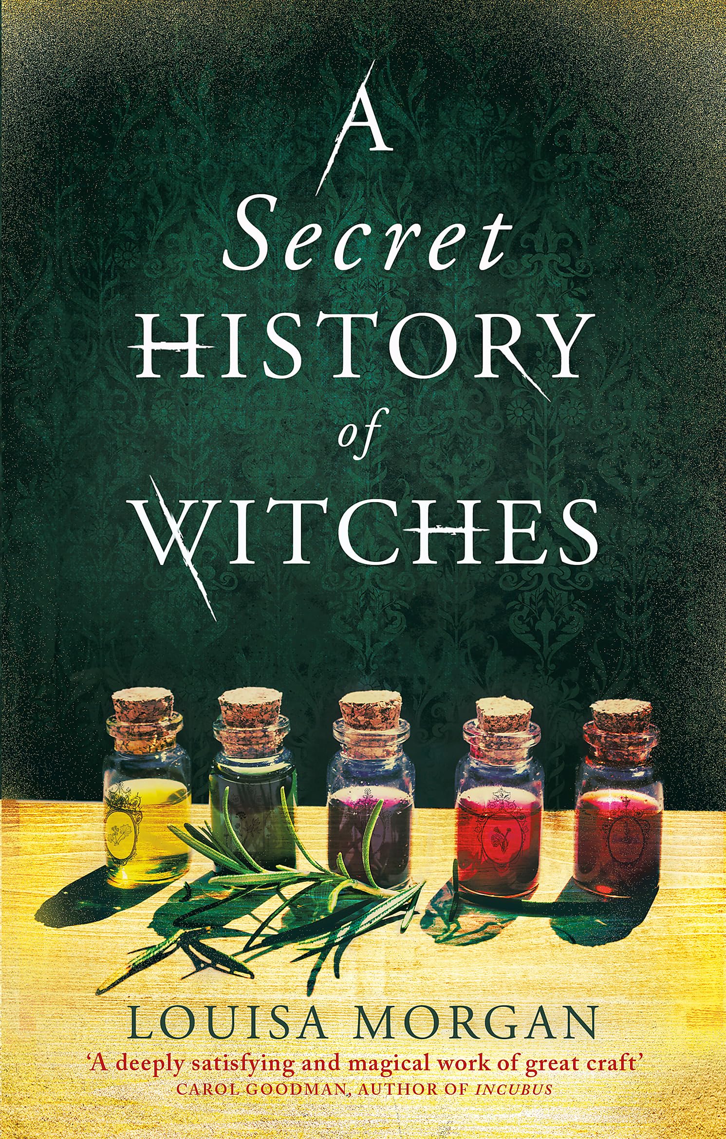 A Secret History of Witches by Louisa Morgan (Paperback Book)