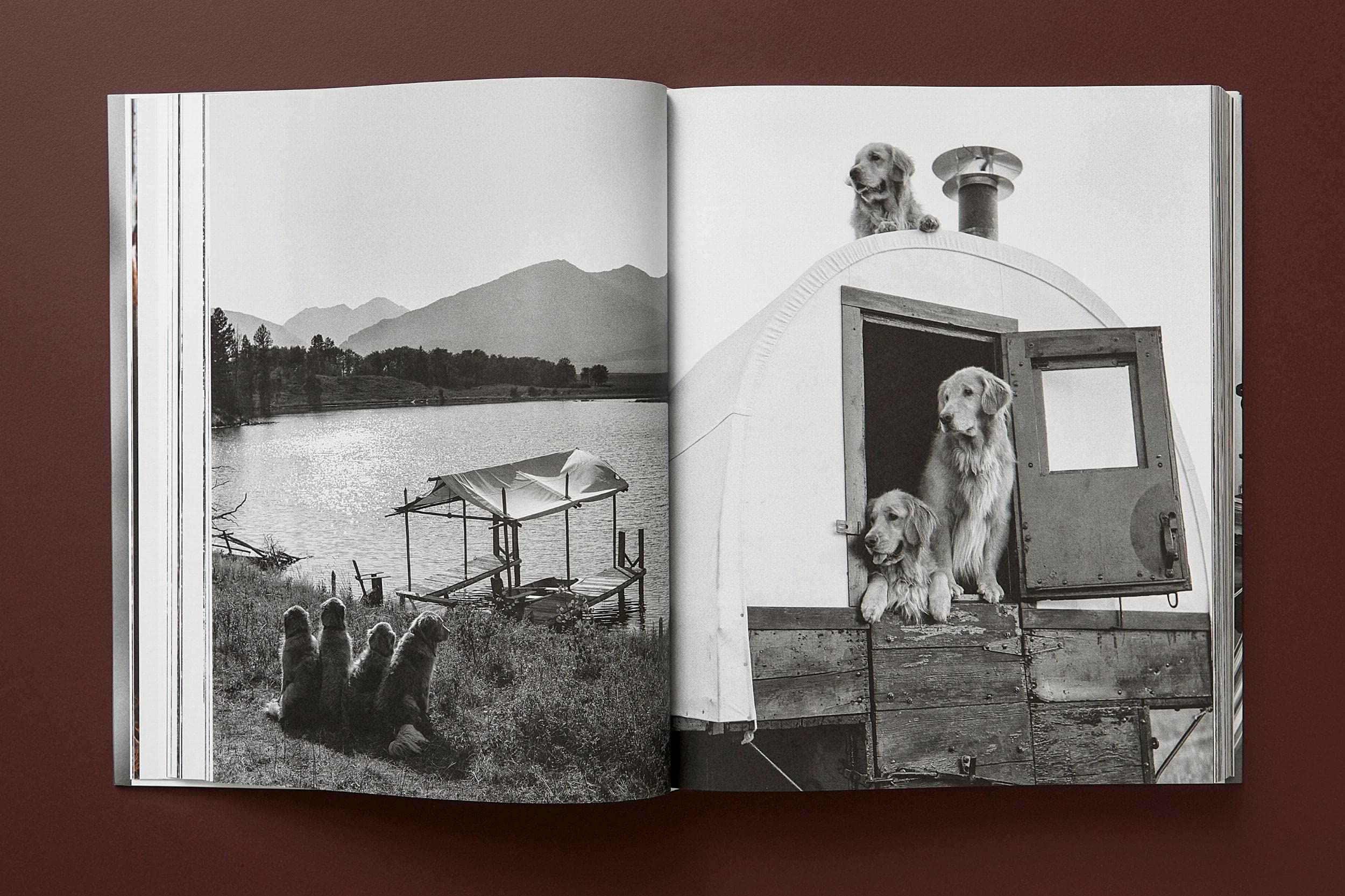 Bruce Weber: The Golden Retriever Photographic Society
