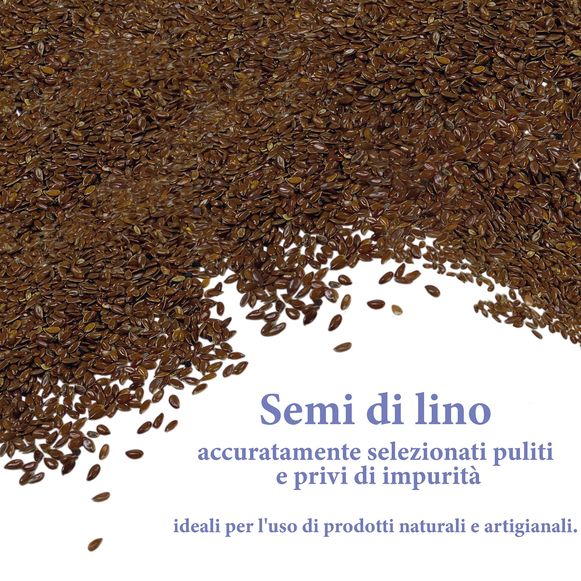 Tex family Semi di Lino Naturali Lavati e Sterilizzati – Per Cuscinetti Termici, Impacchi Cosmetici e Uso Artigianale - 5000g
