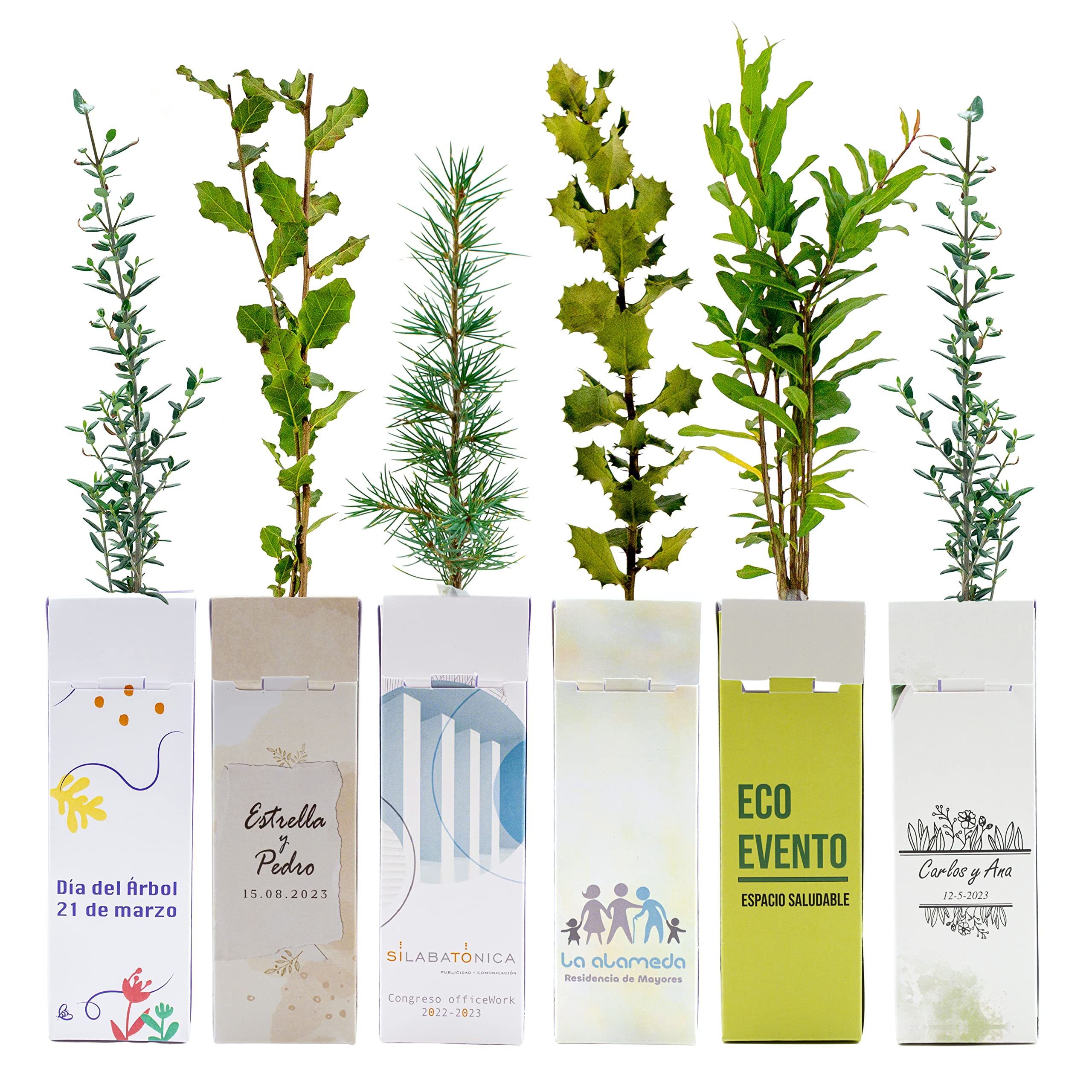 de regalo – Pack 25 Uds en Cajas de Cartón Personalizadas con la Imagen o Texto que Quieras – Amplia variedad de Especies – Promociones, Eventos, Bodas - Regala Vida